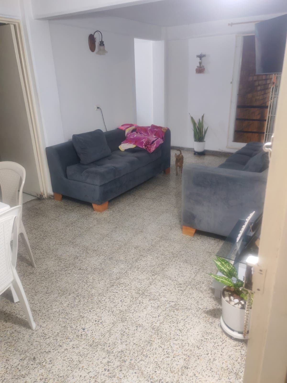 Foto de Bolitas de pelo andante 
