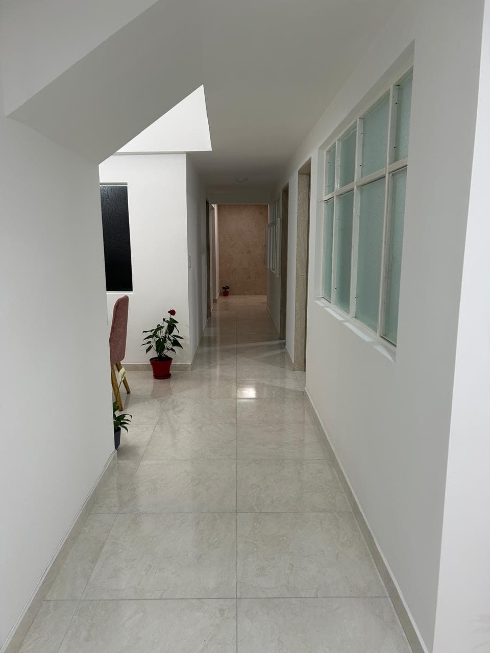 Foto de Peludos seguros, mimados y felices.