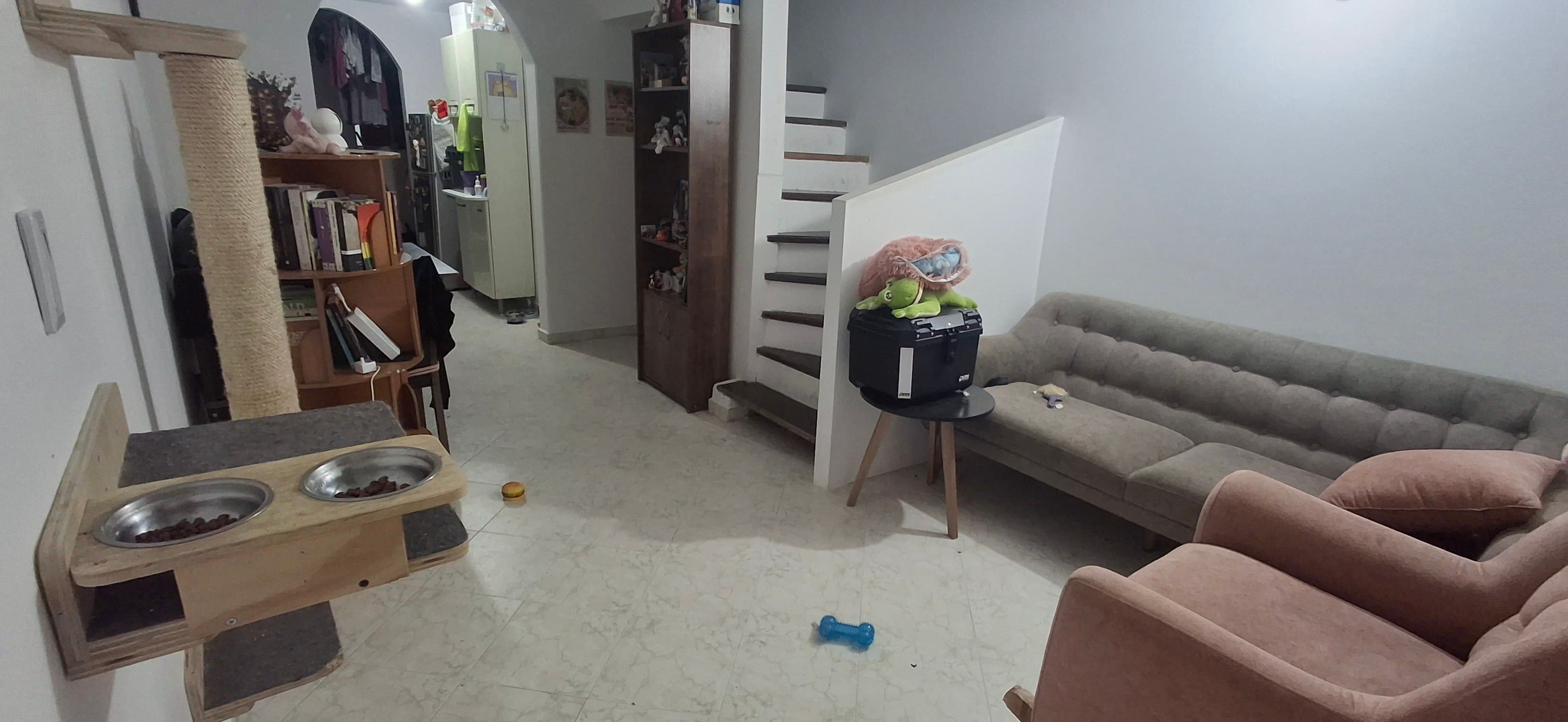 Foto de Dulce Guau