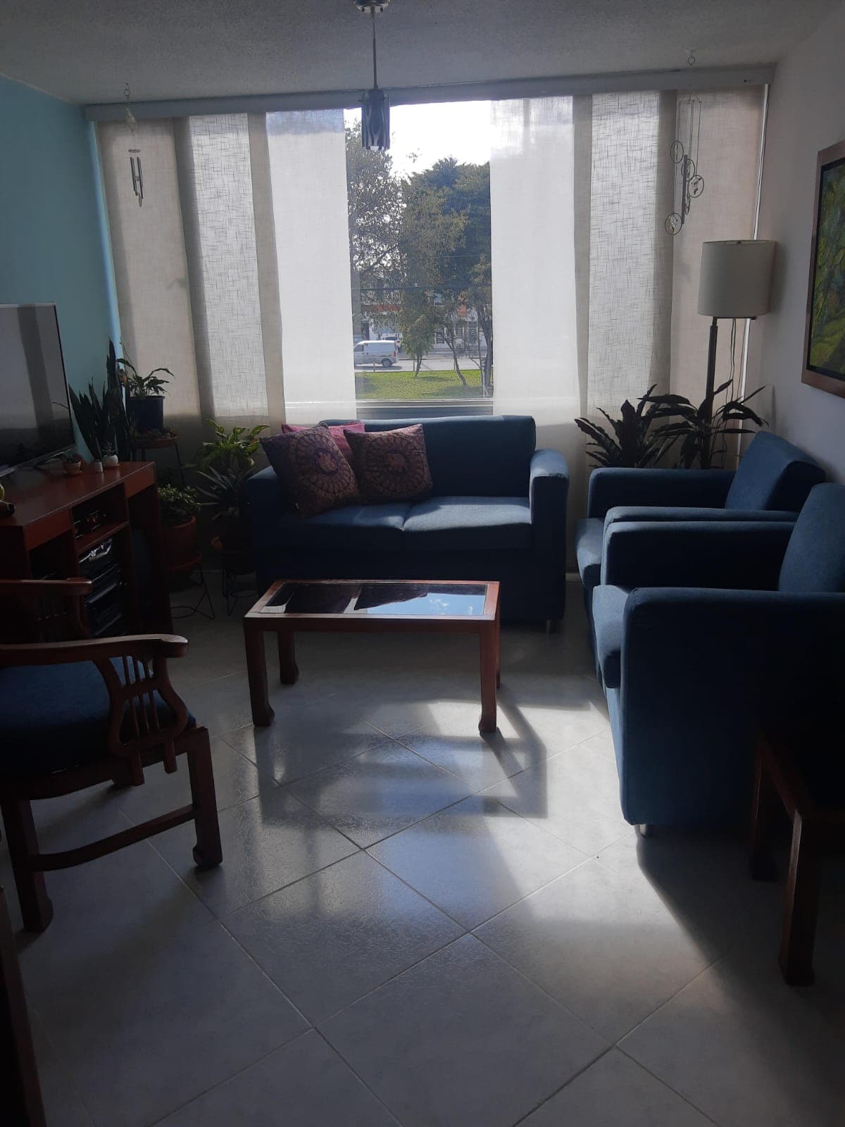 Foto de PATITAS EN CASA