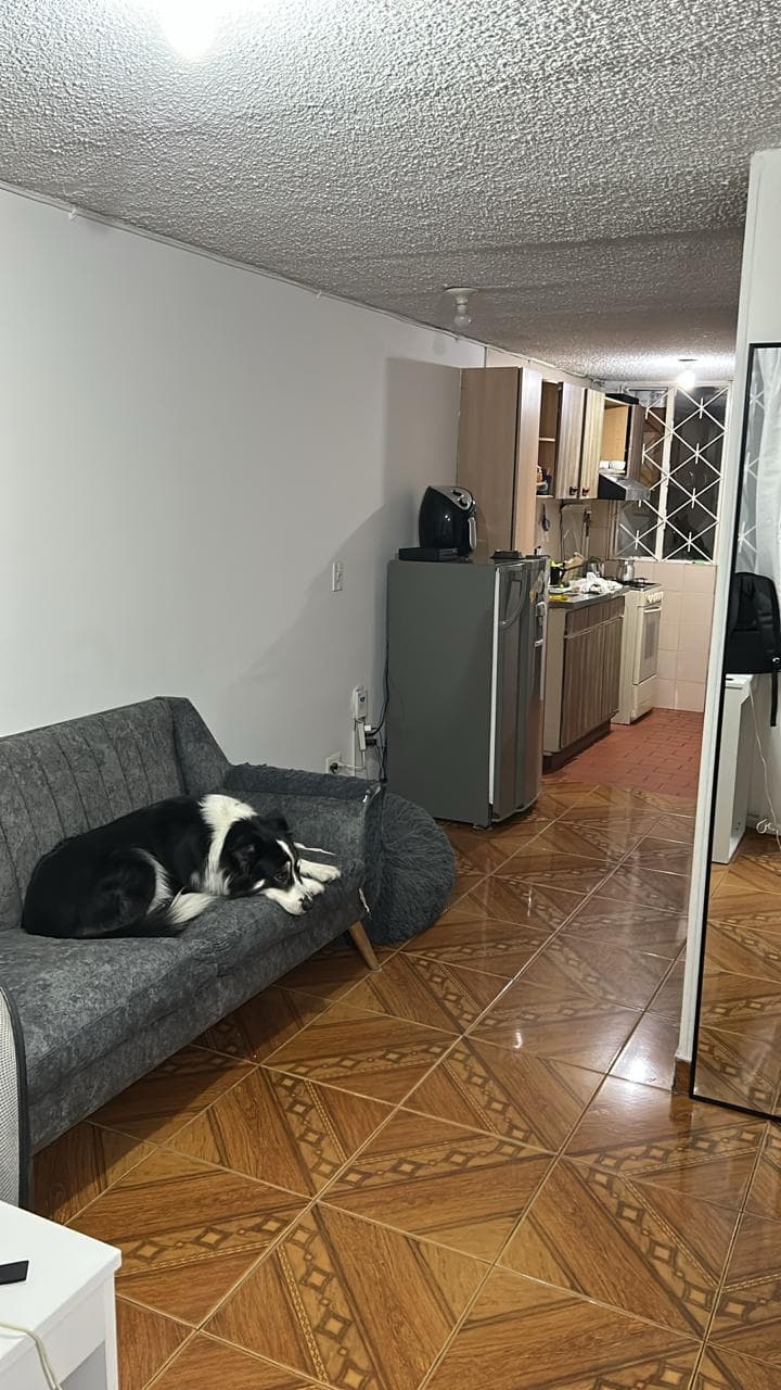 Foto de Patitas y Colitas