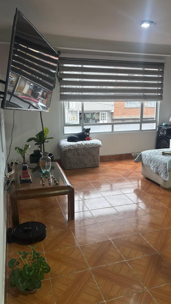 Foto de ?Patitas Consentidas?