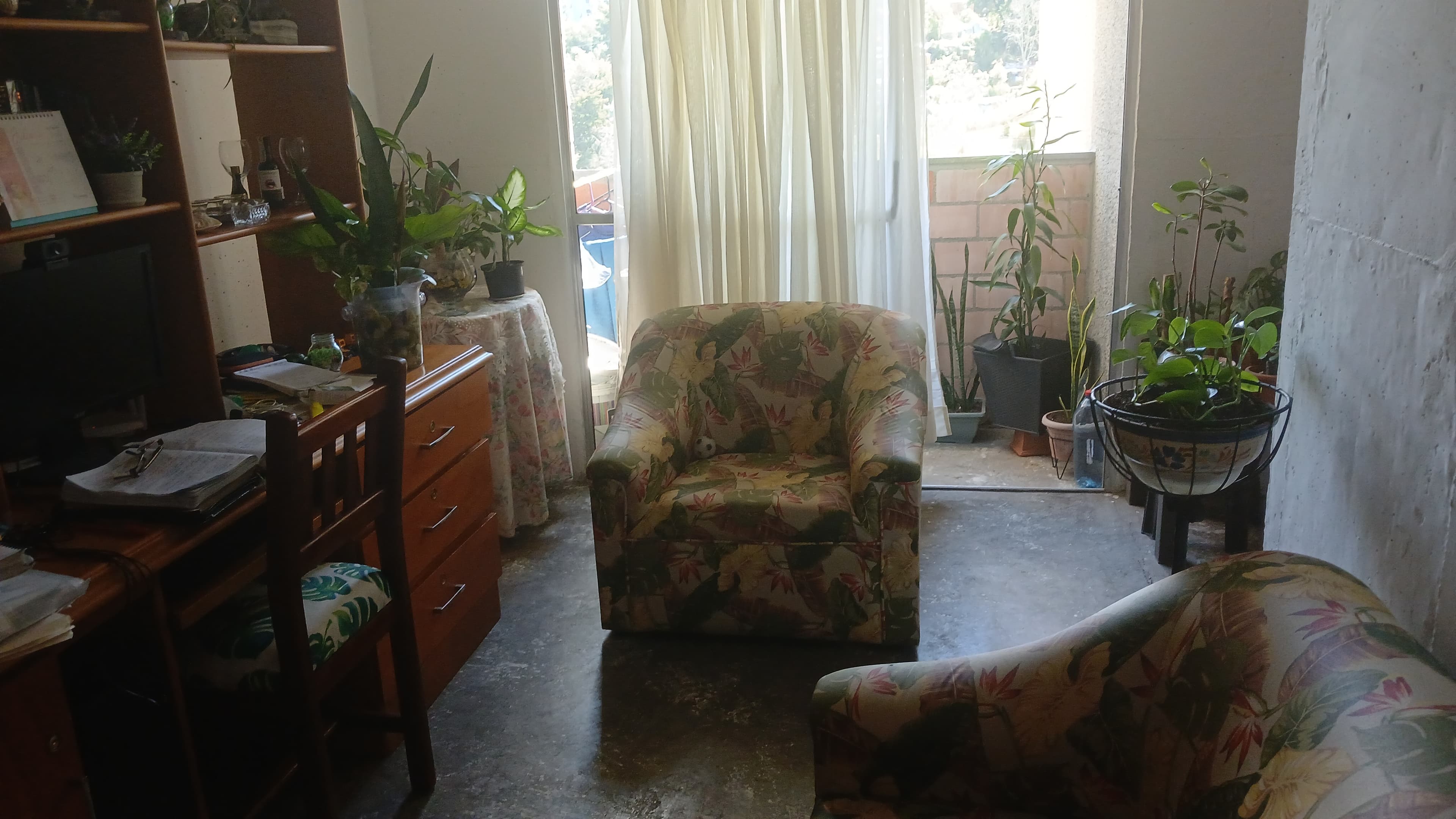 Foto principal de La casa de mis amigos perrunos 