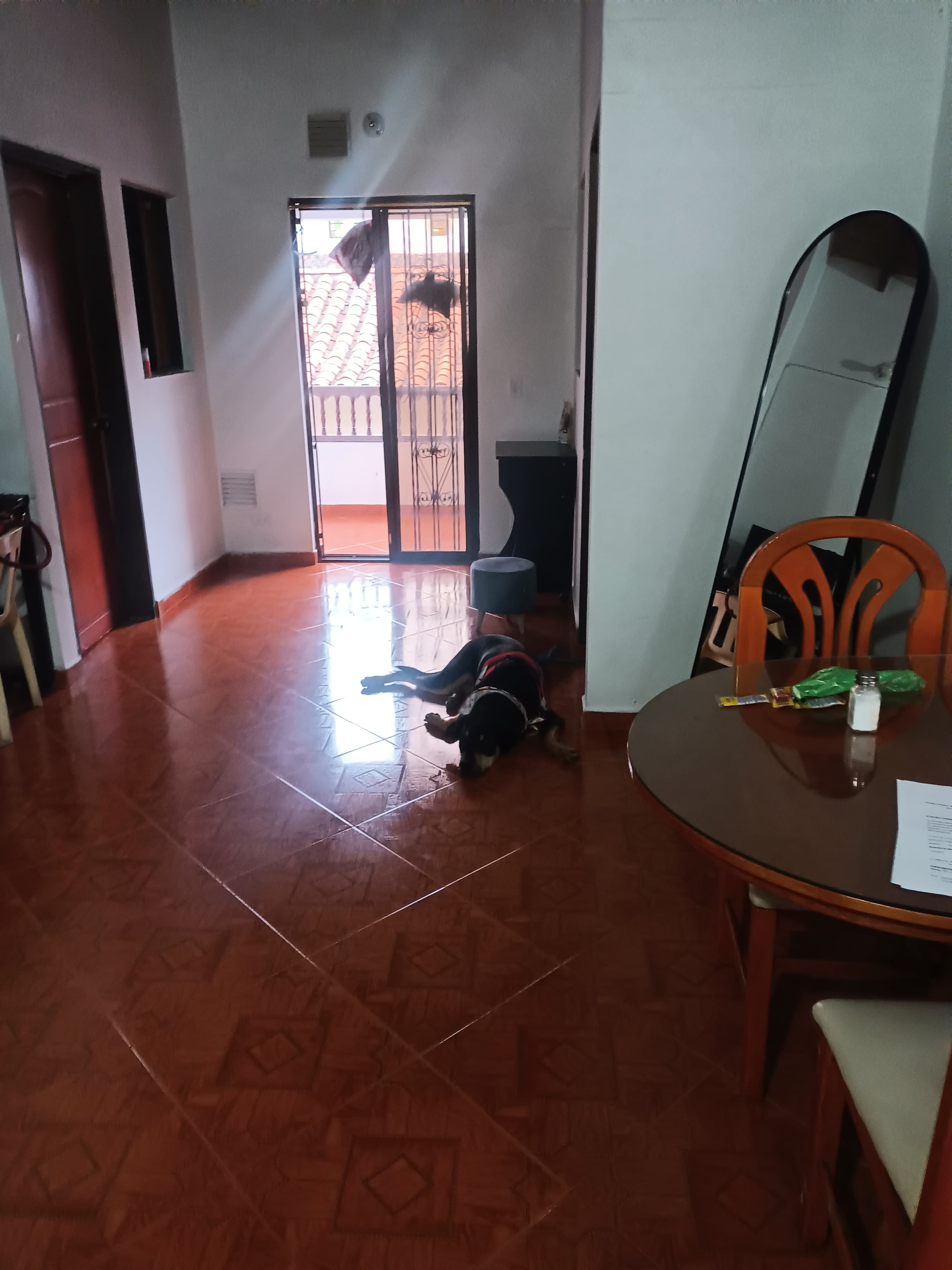 Foto de Hotel moyi