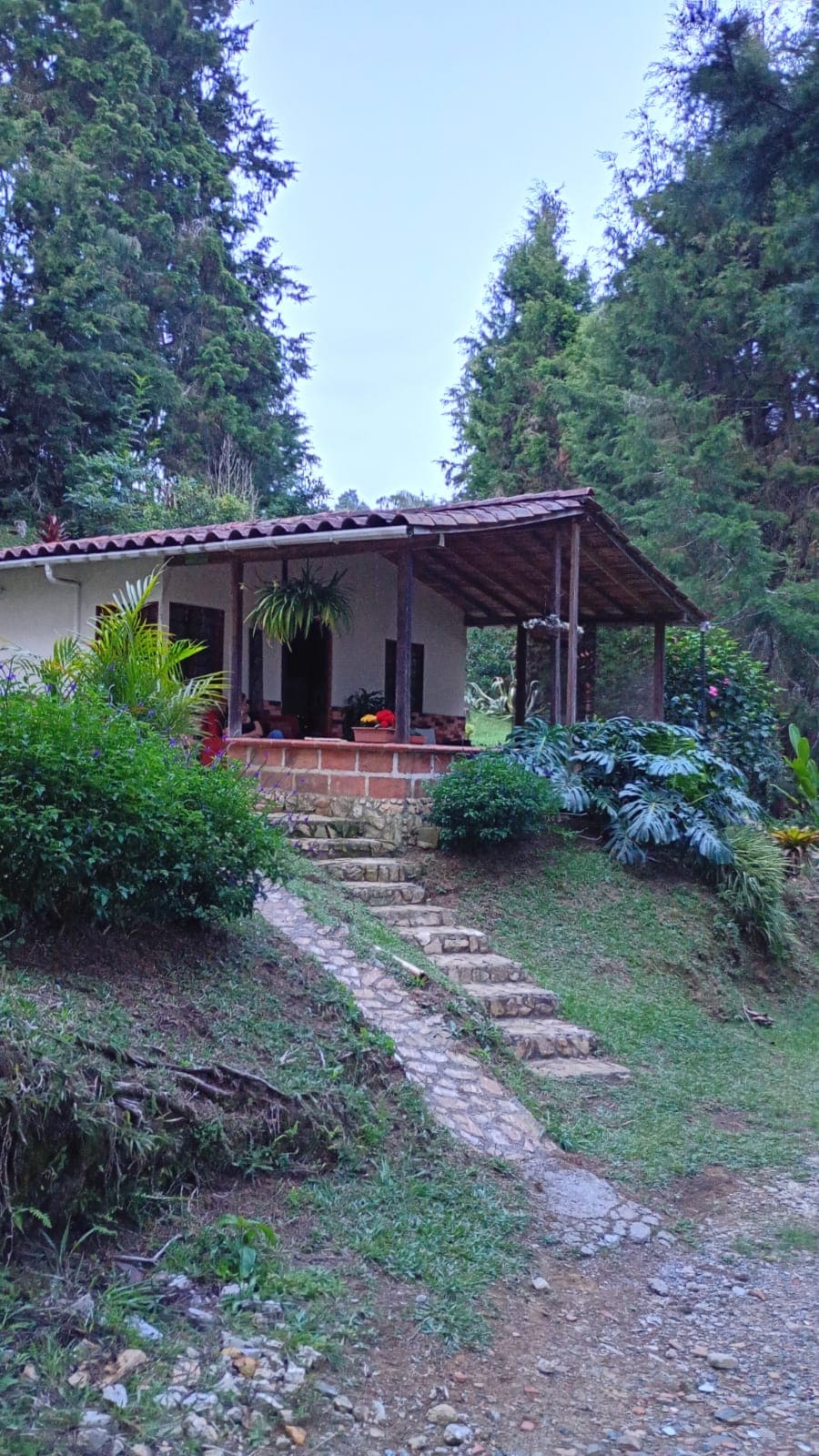 Foto de Refugio para peluditos 