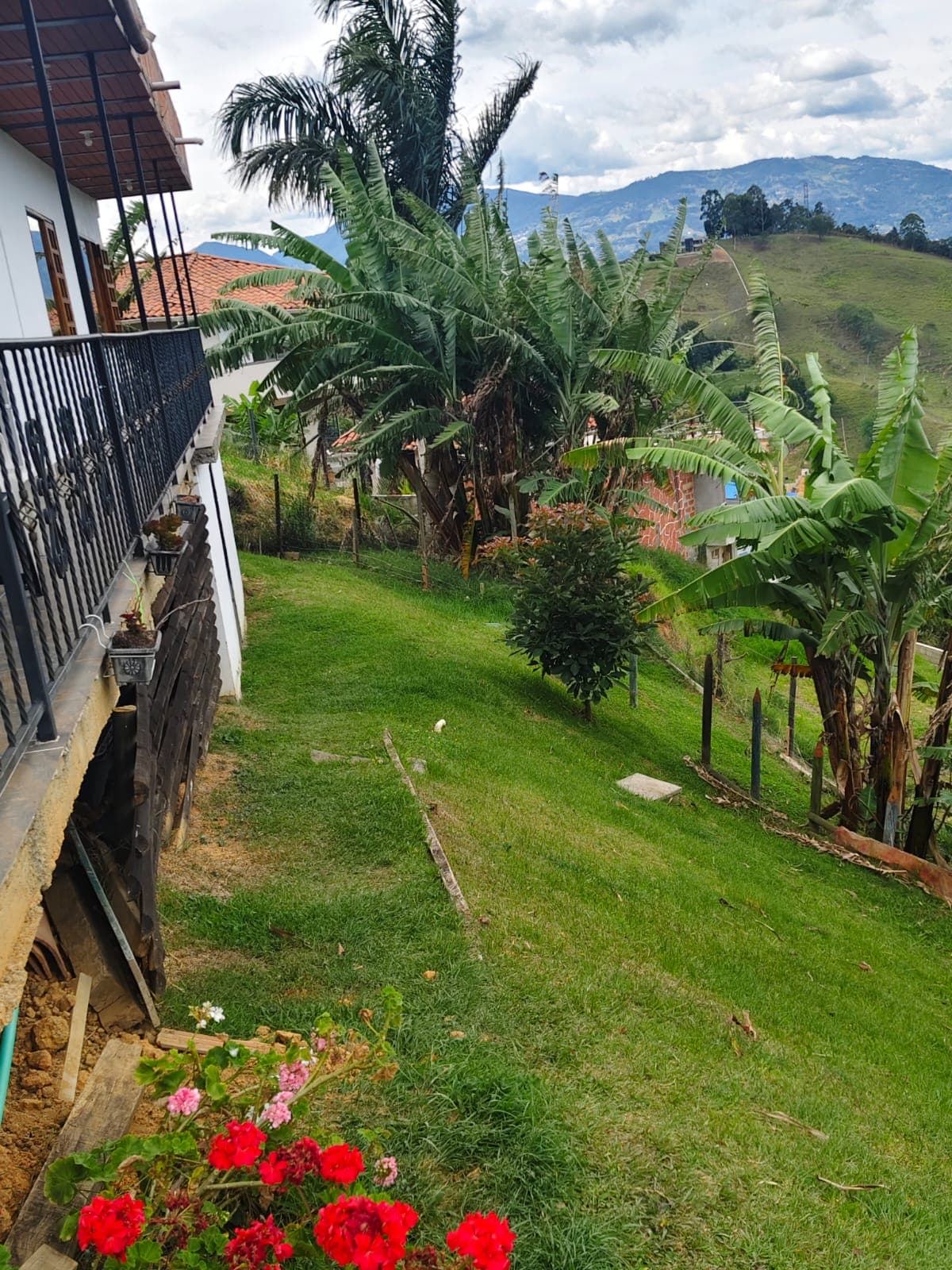 Foto de Buena vista