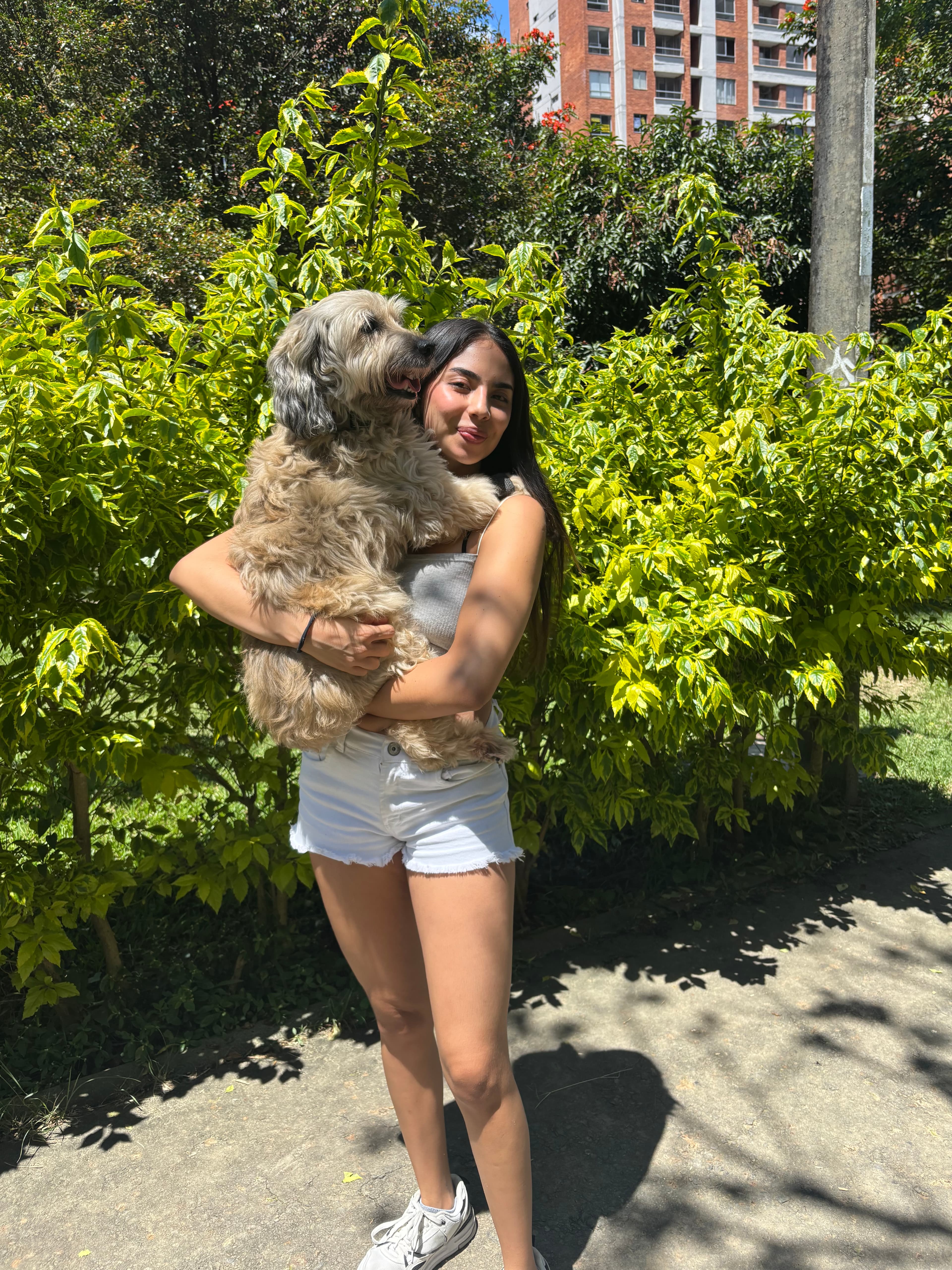 Foto de Huellitas en casa 