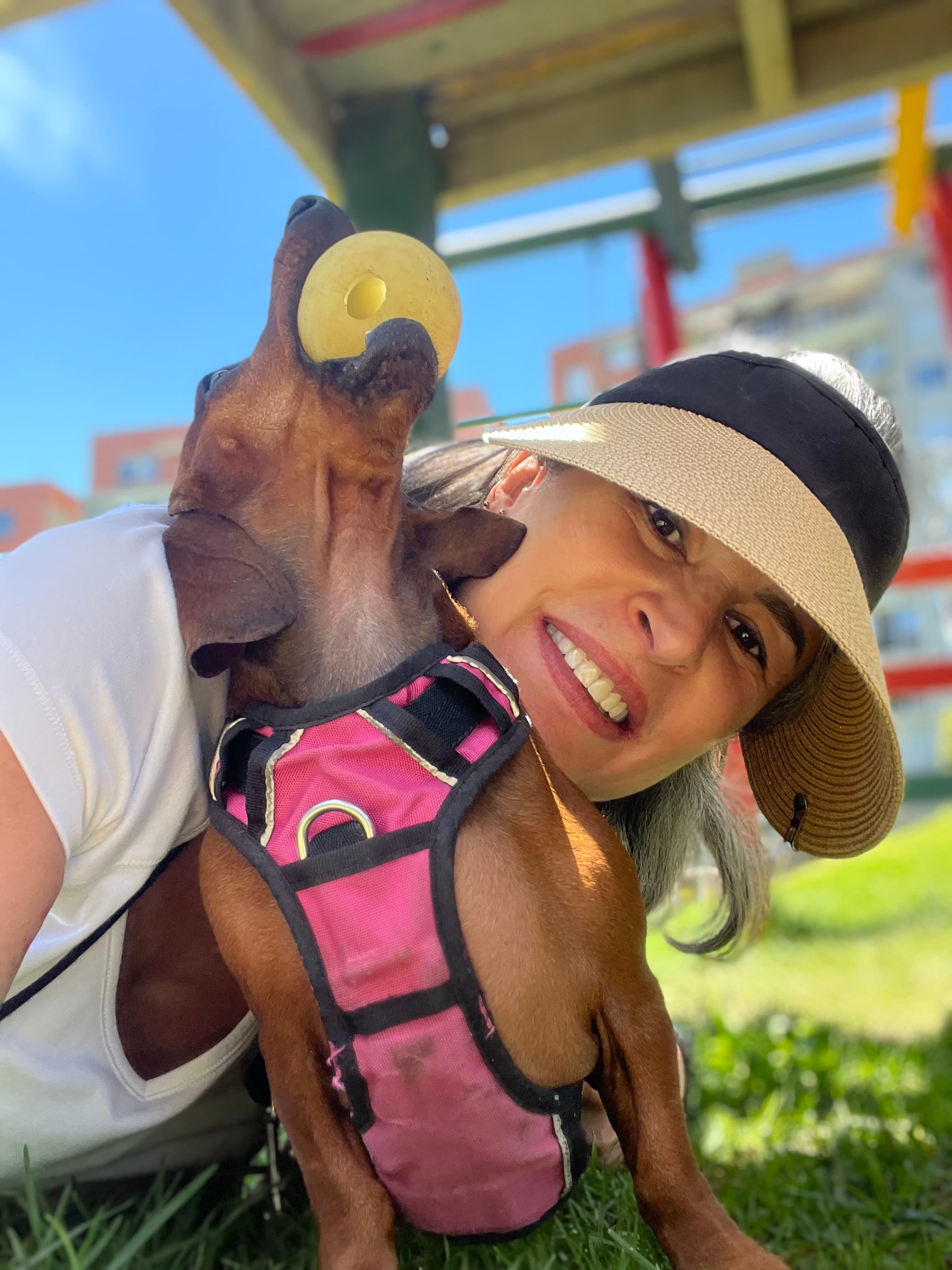 Foto 4 de Perritos alegres y juguetones 