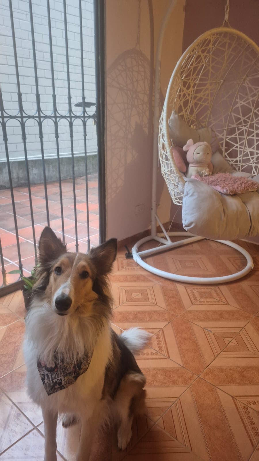 Foto 2 de Doncella y sus amigos  