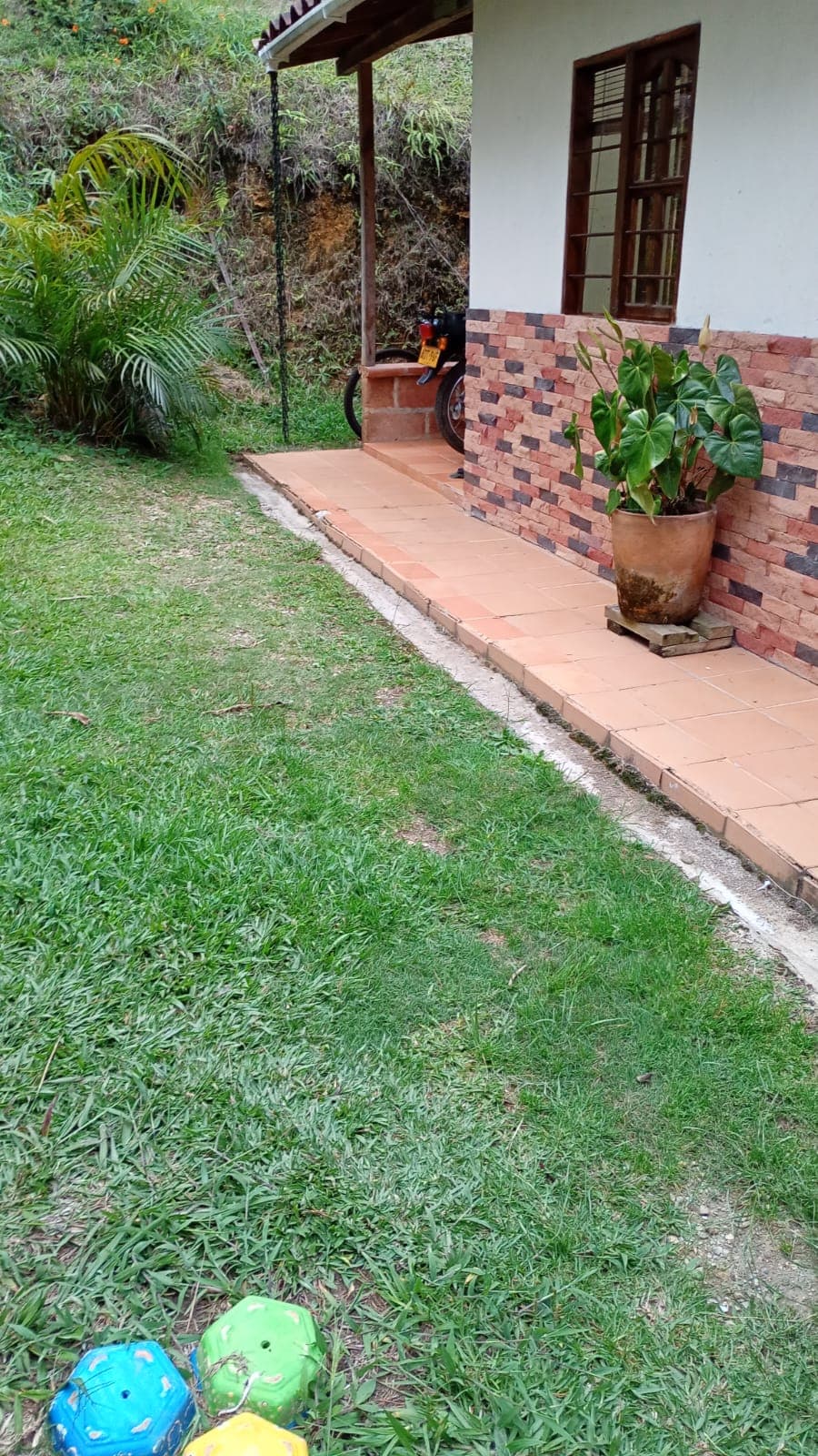 Foto 4 de Refugio para peluditos 
