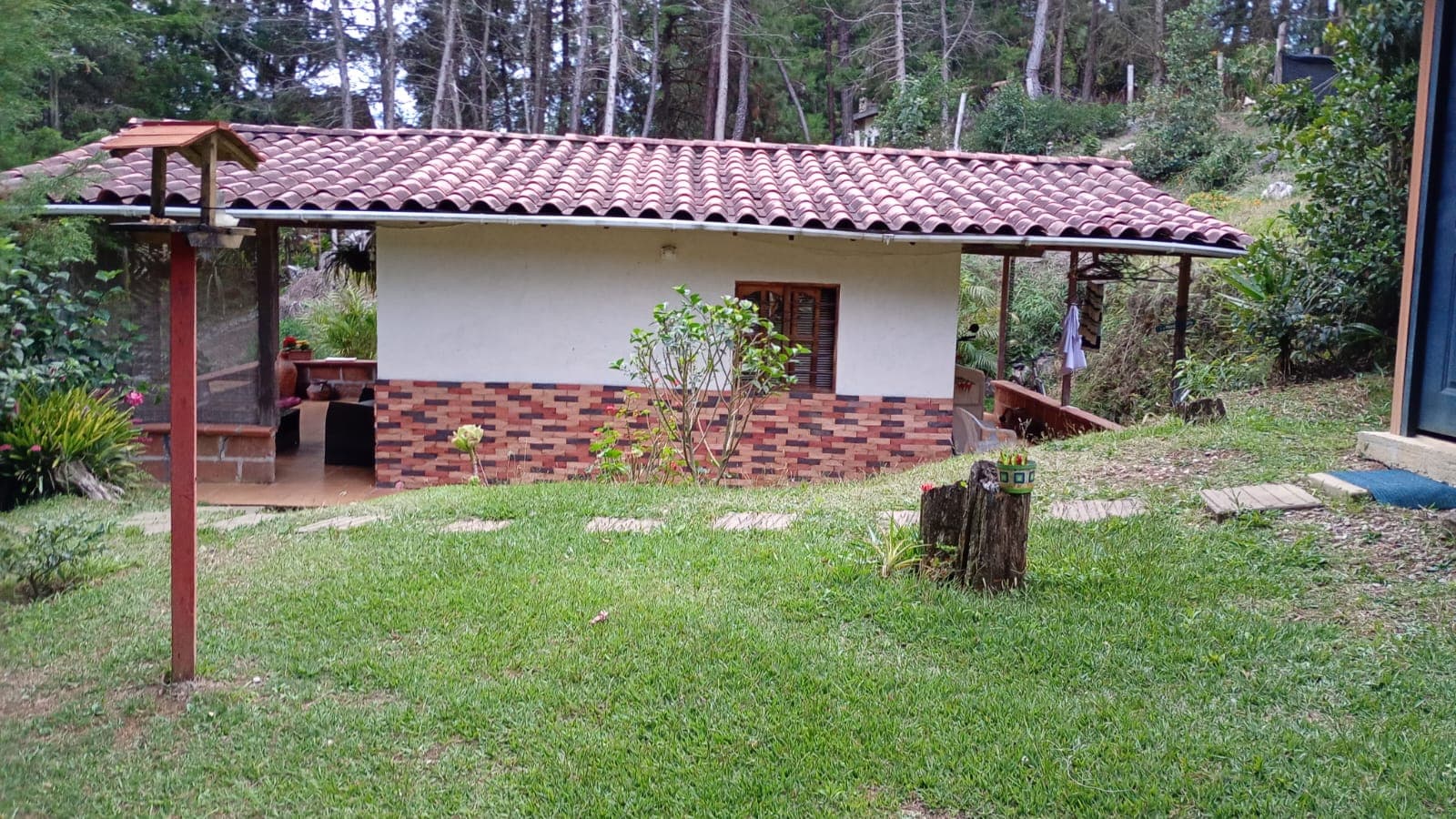 Foto 6 de Refugio para peluditos 