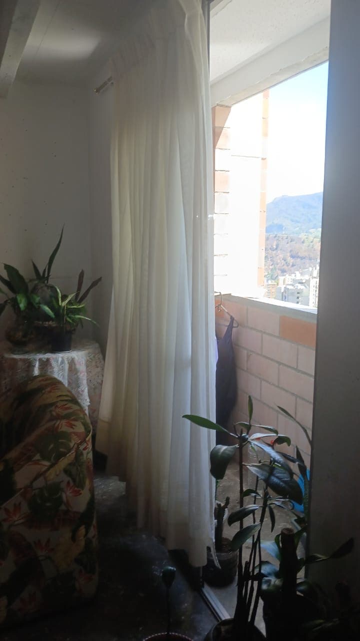 Foto 4 de La casa de mis amigos perrunos 