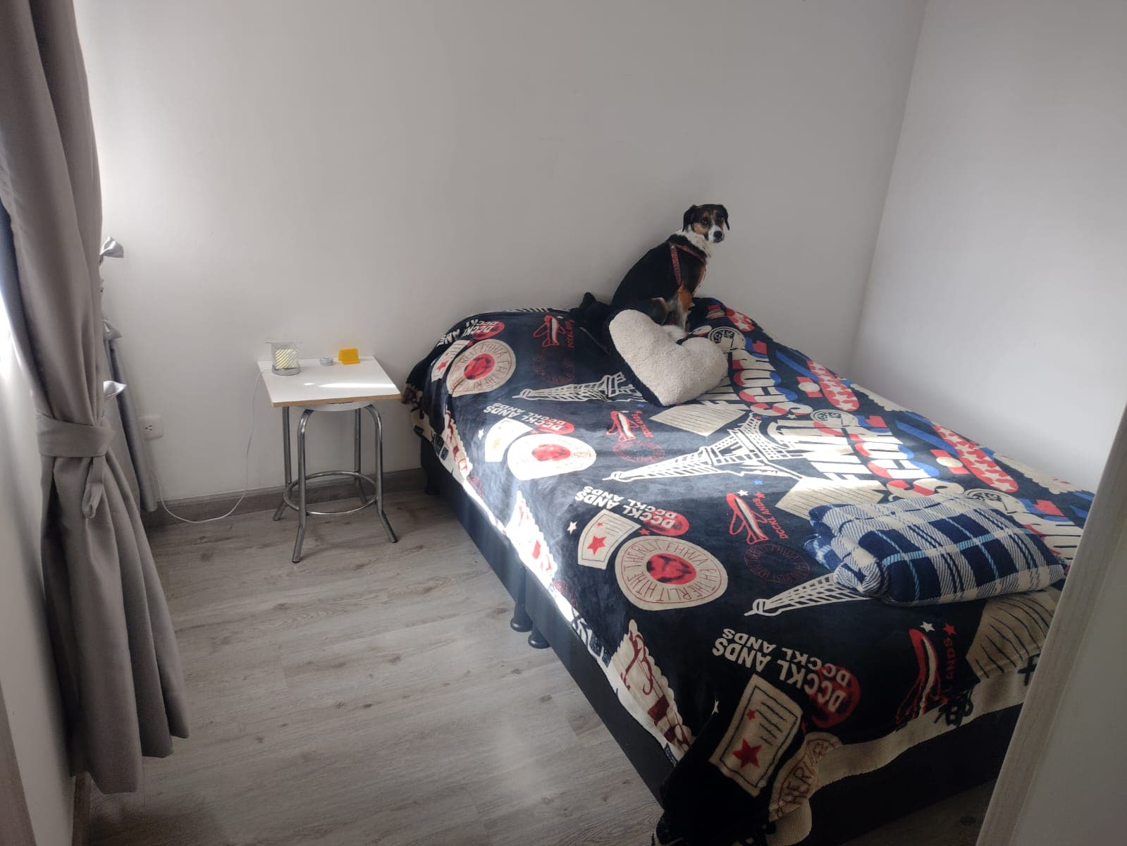 Foto 6 de DOGYBNB