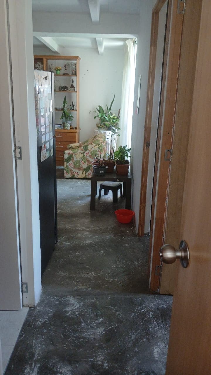 Foto 6 de La casa de mis amigos perrunos 