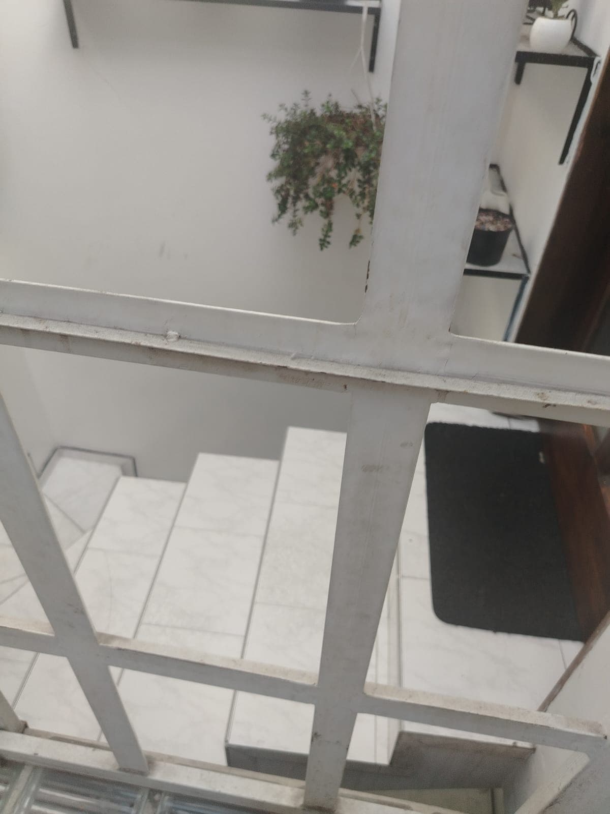Foto 4 de Mil's house