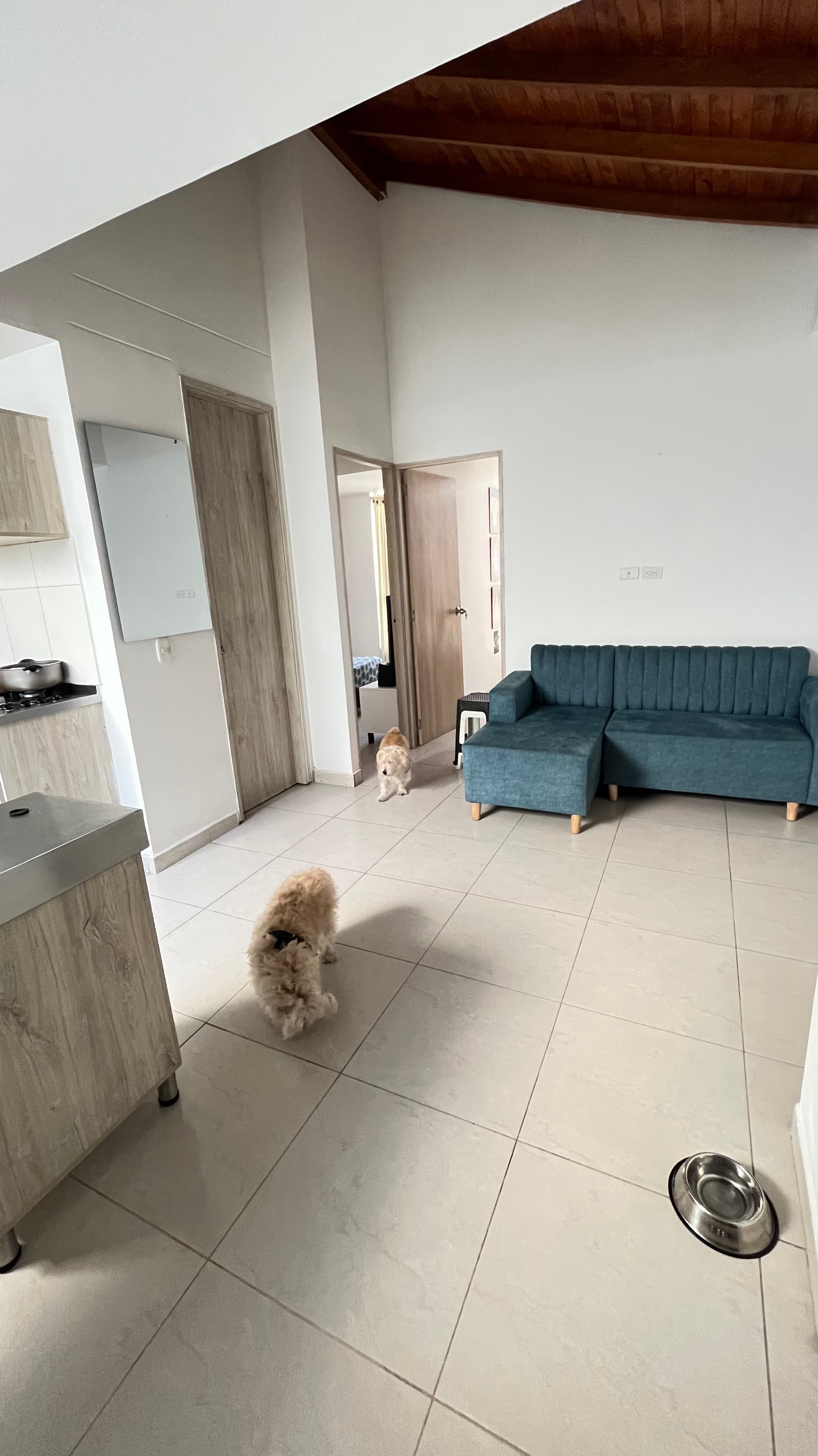 Foto 4 de Casa de los peludos