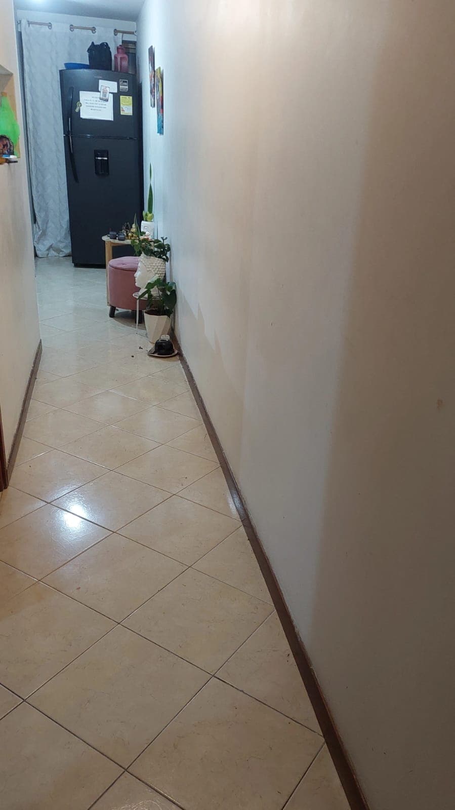 Foto 4 de ? HOGAR DE HUELLITAS