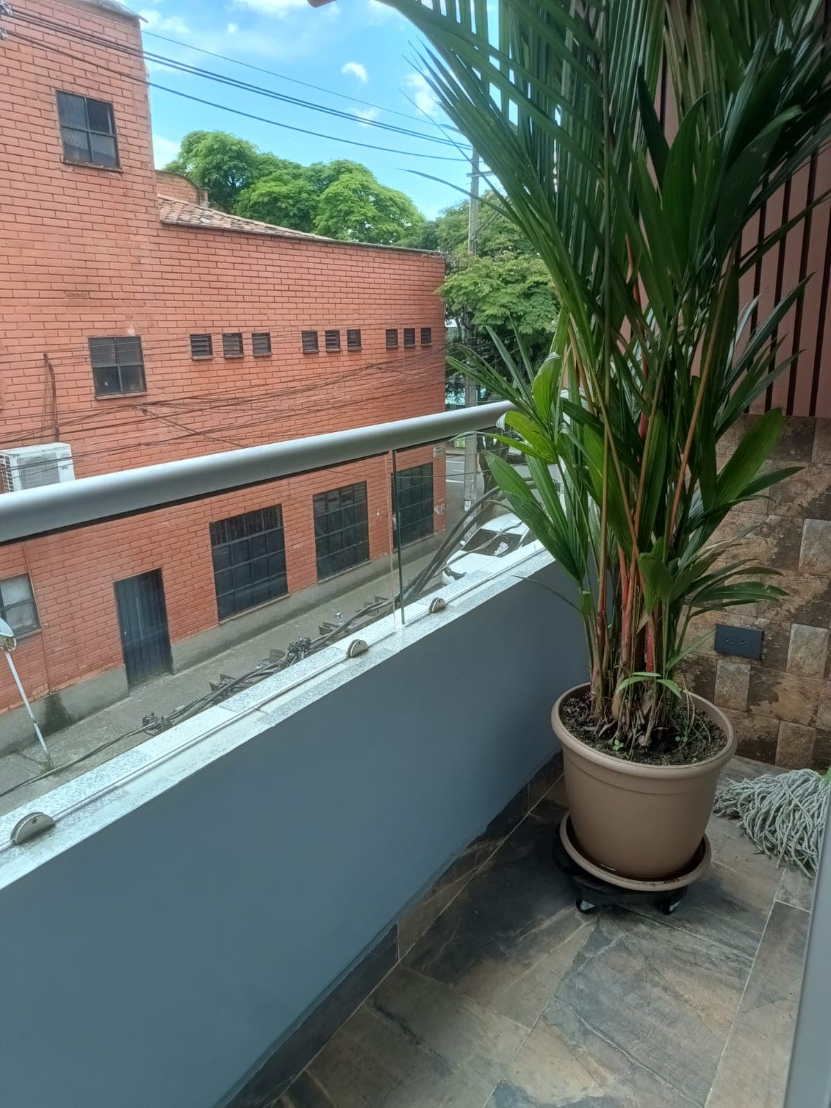 Foto 4 de El Oasis