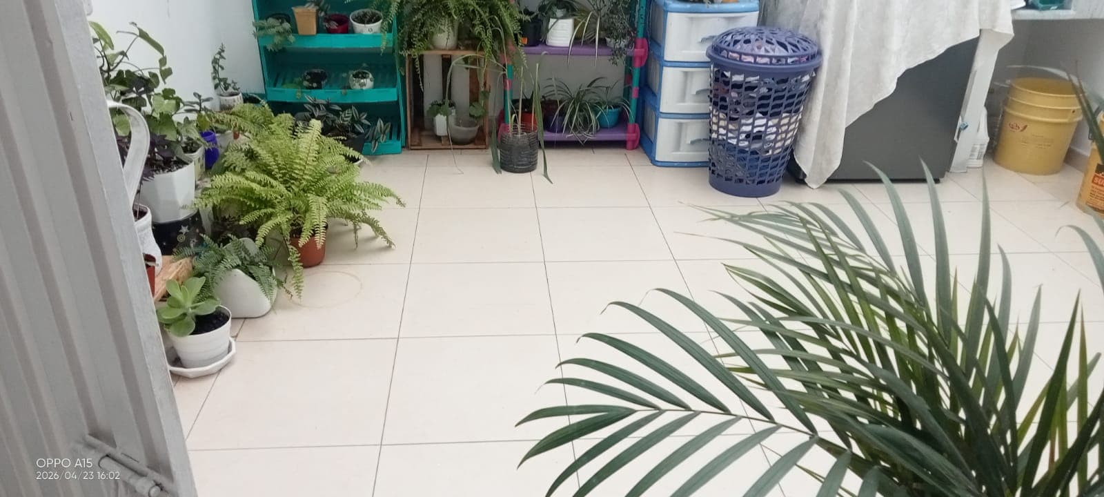 Foto 4 de Casa De Colitas Felices