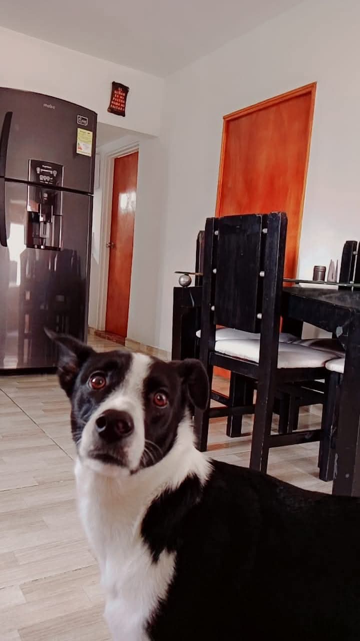 Foto 2 de  ? Logan's  House ?