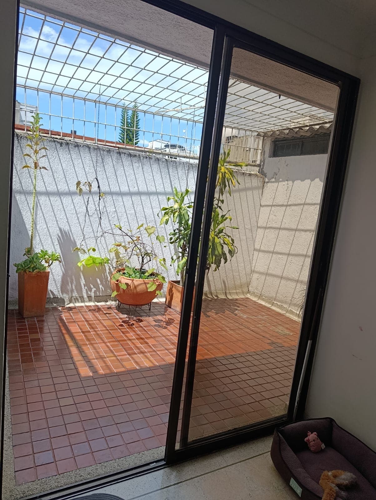 Foto 4 de La casa de Bruna. 