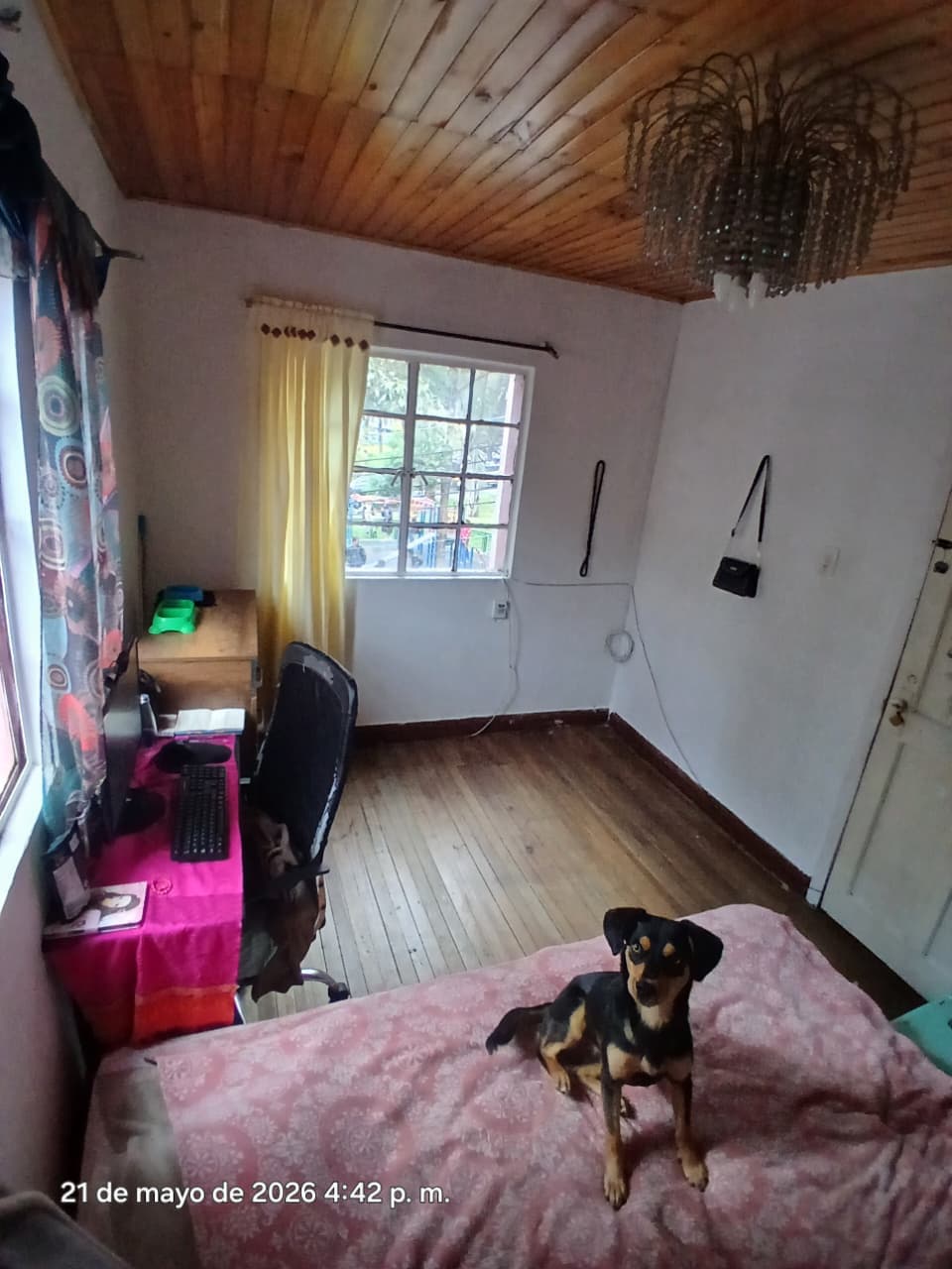 Foto 6 de Casa Amados