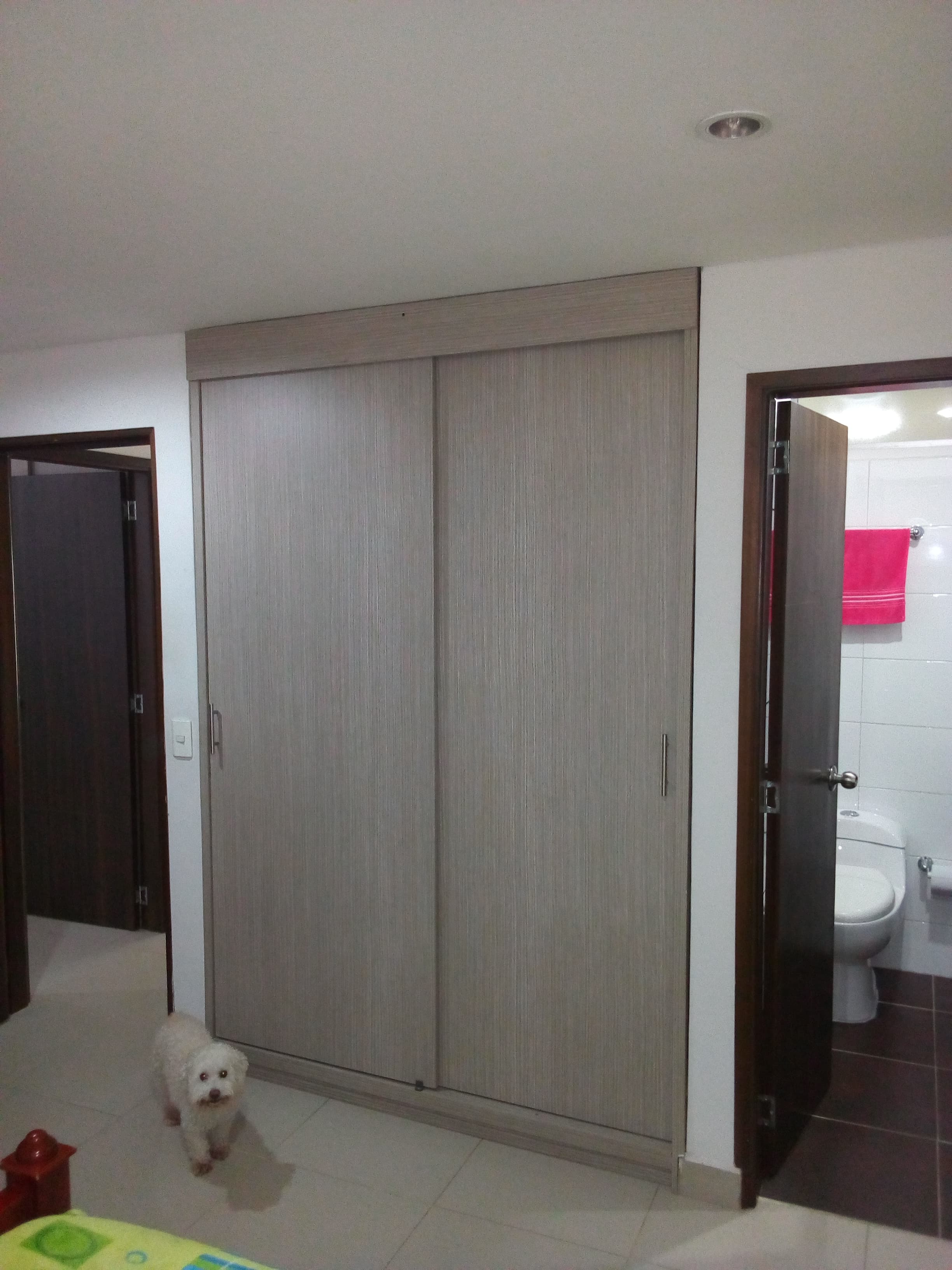 Foto 7 de Peluditos Amados