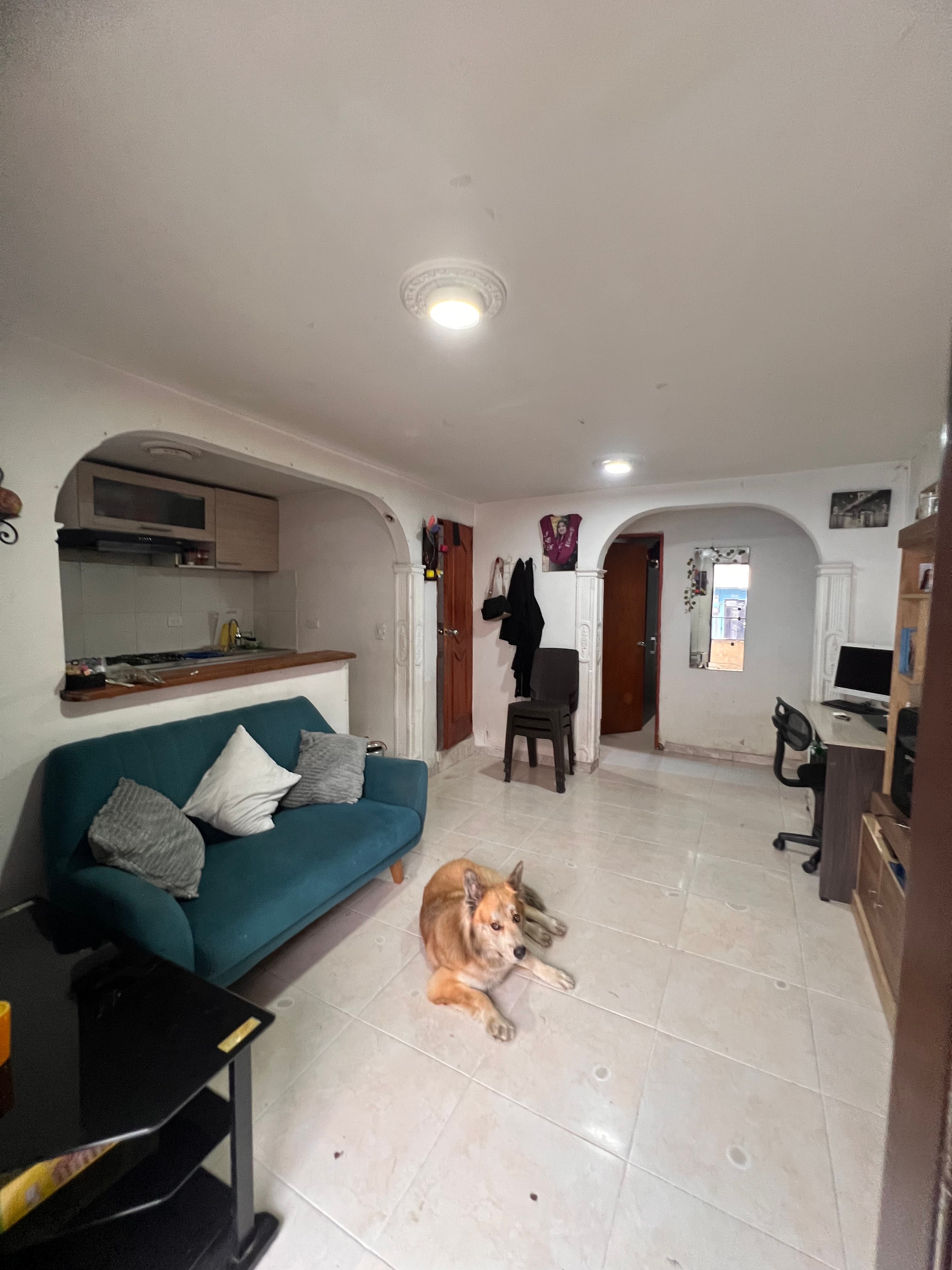 Foto 2 de Hogar de colitas