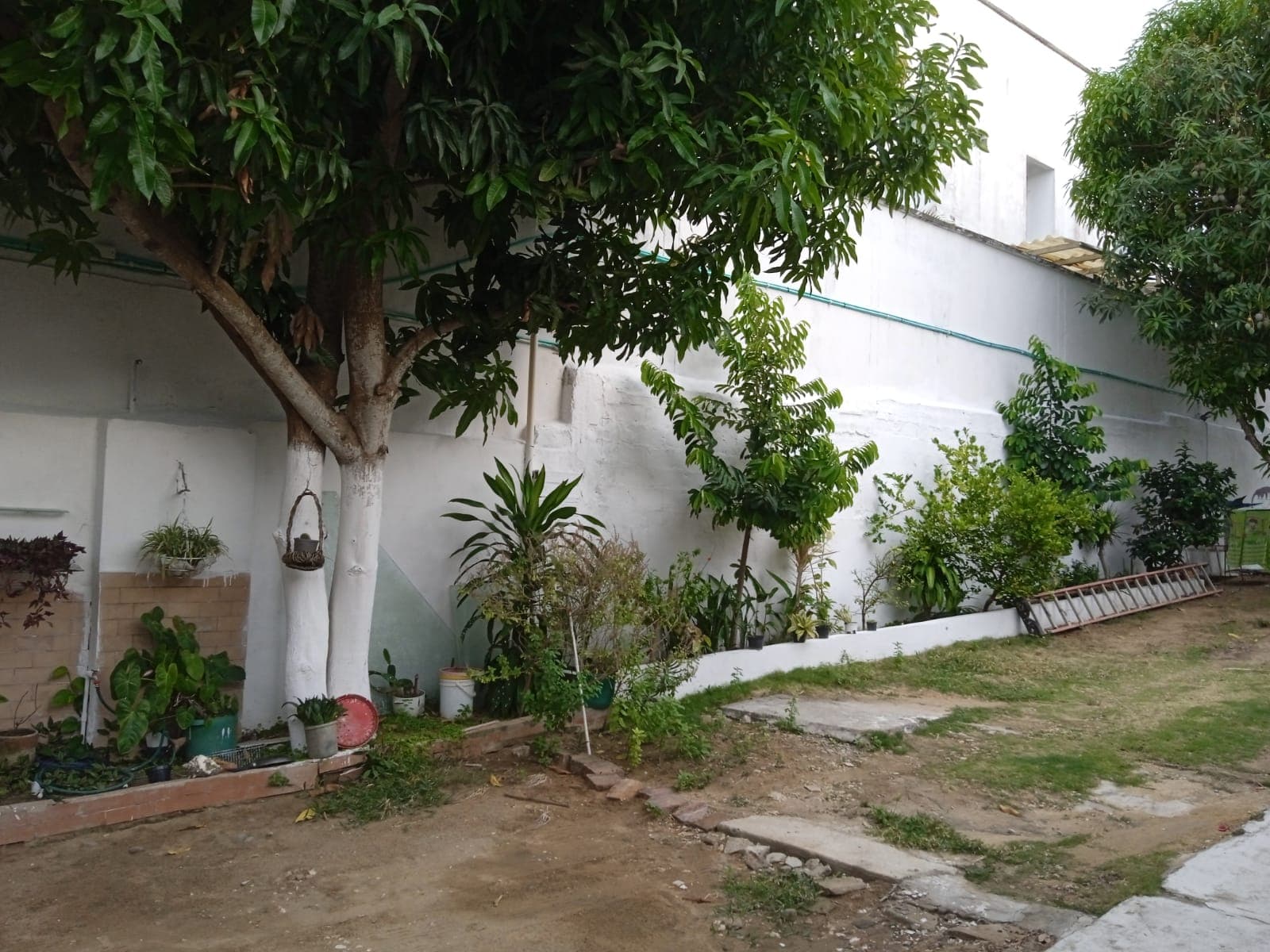 Foto 2 de El refugio de Belen