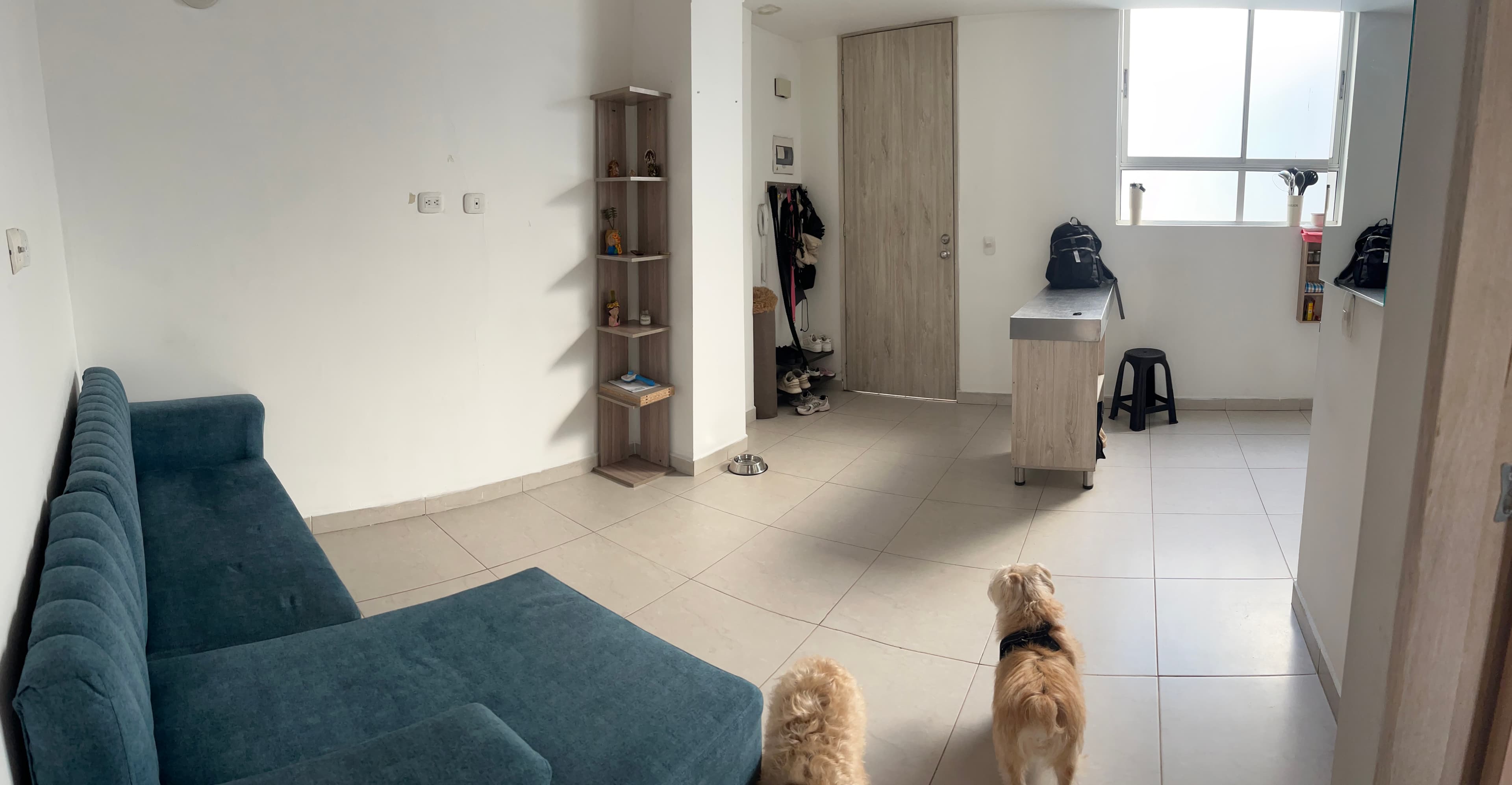Foto 2 de Casa de los peludos