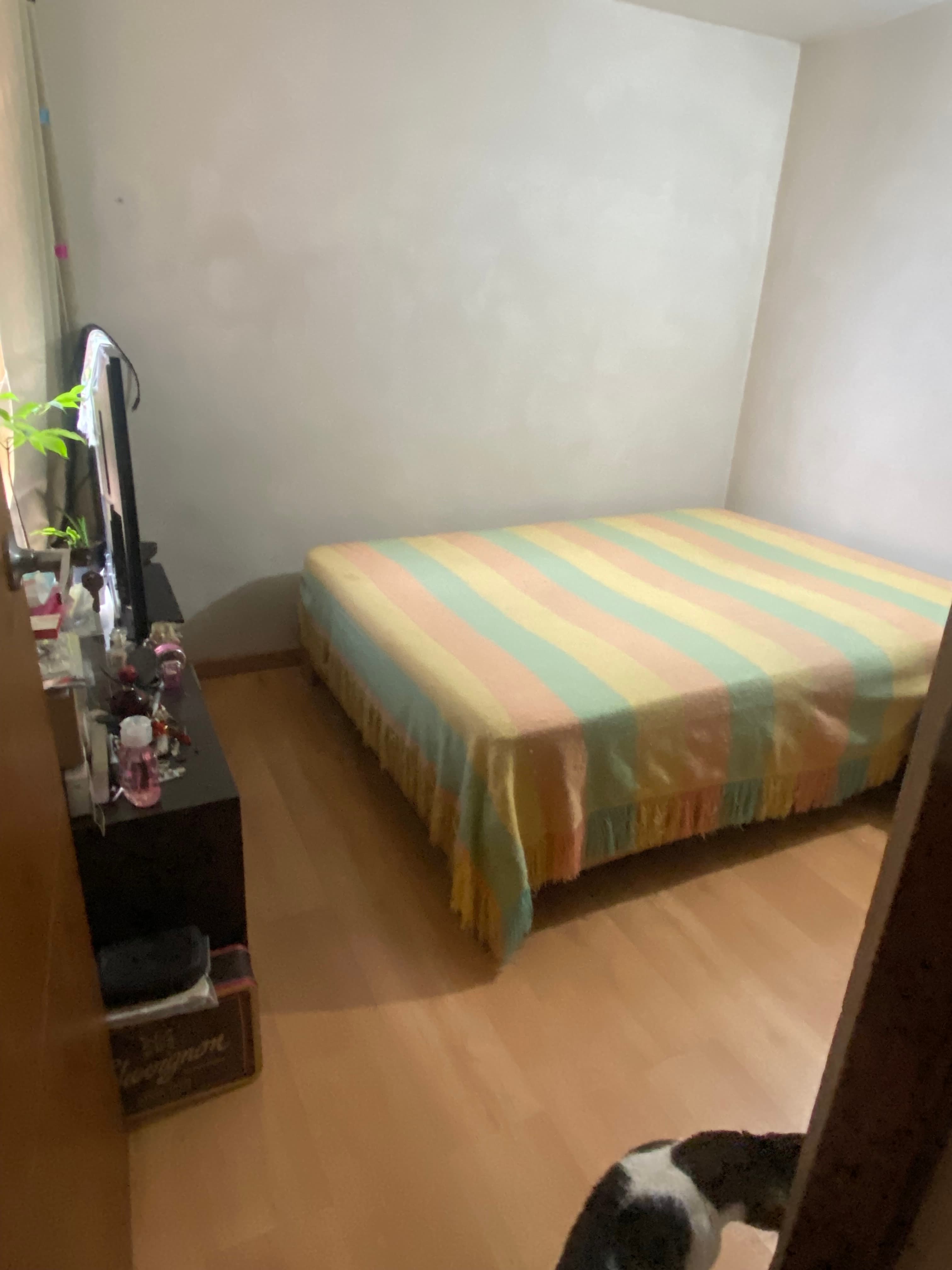 Foto 3 de Mi hogar preferido