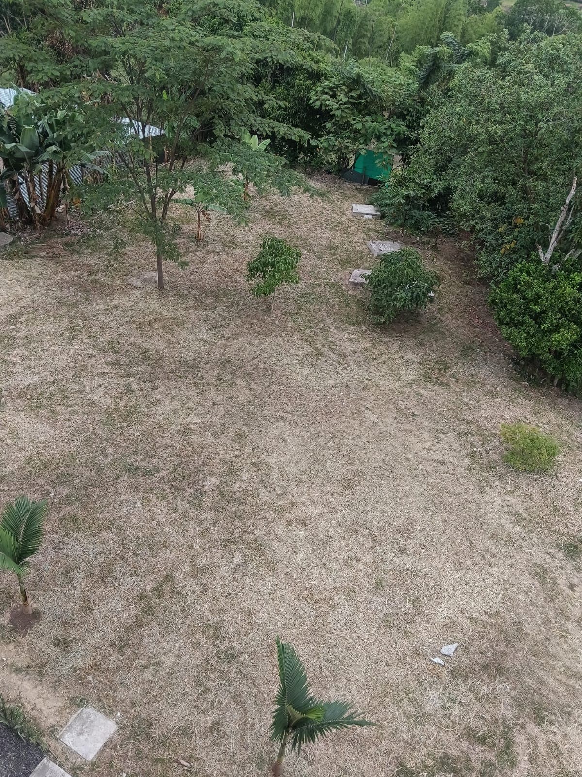 Foto 2 de Huellitas ??