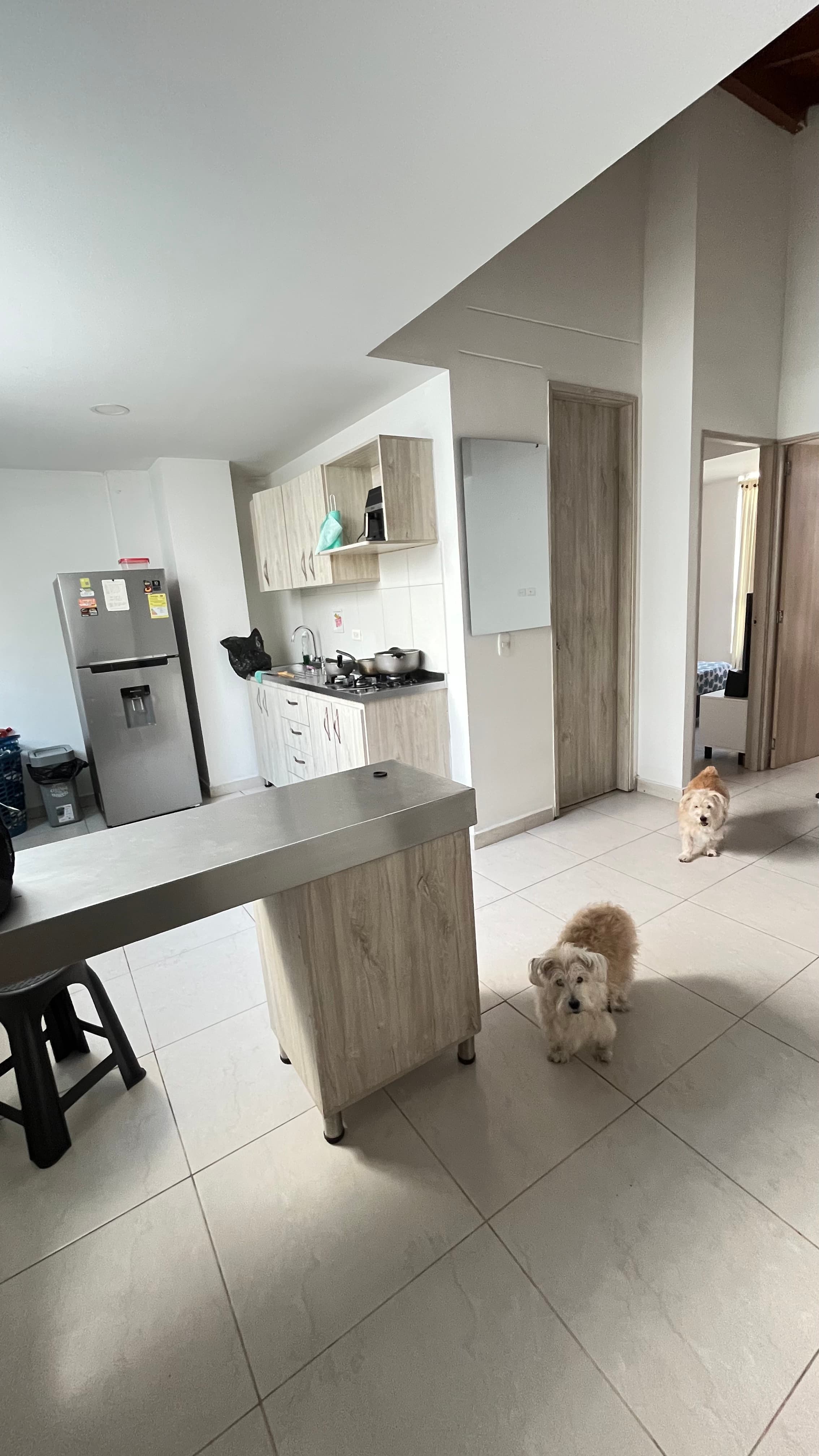 Foto 3 de Casa de los peludos