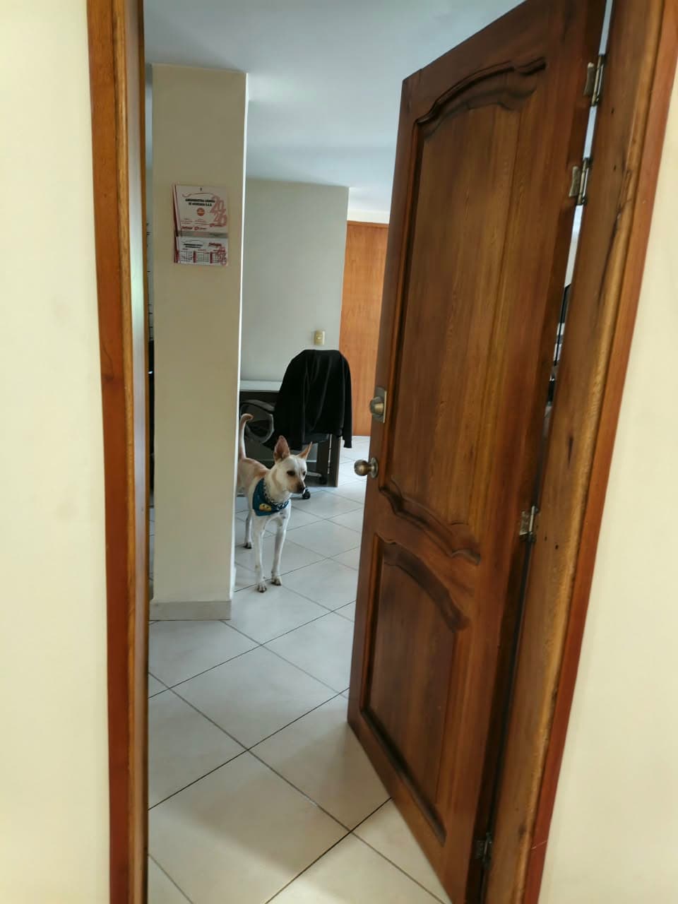 Foto 6 de Patitas Felices 1