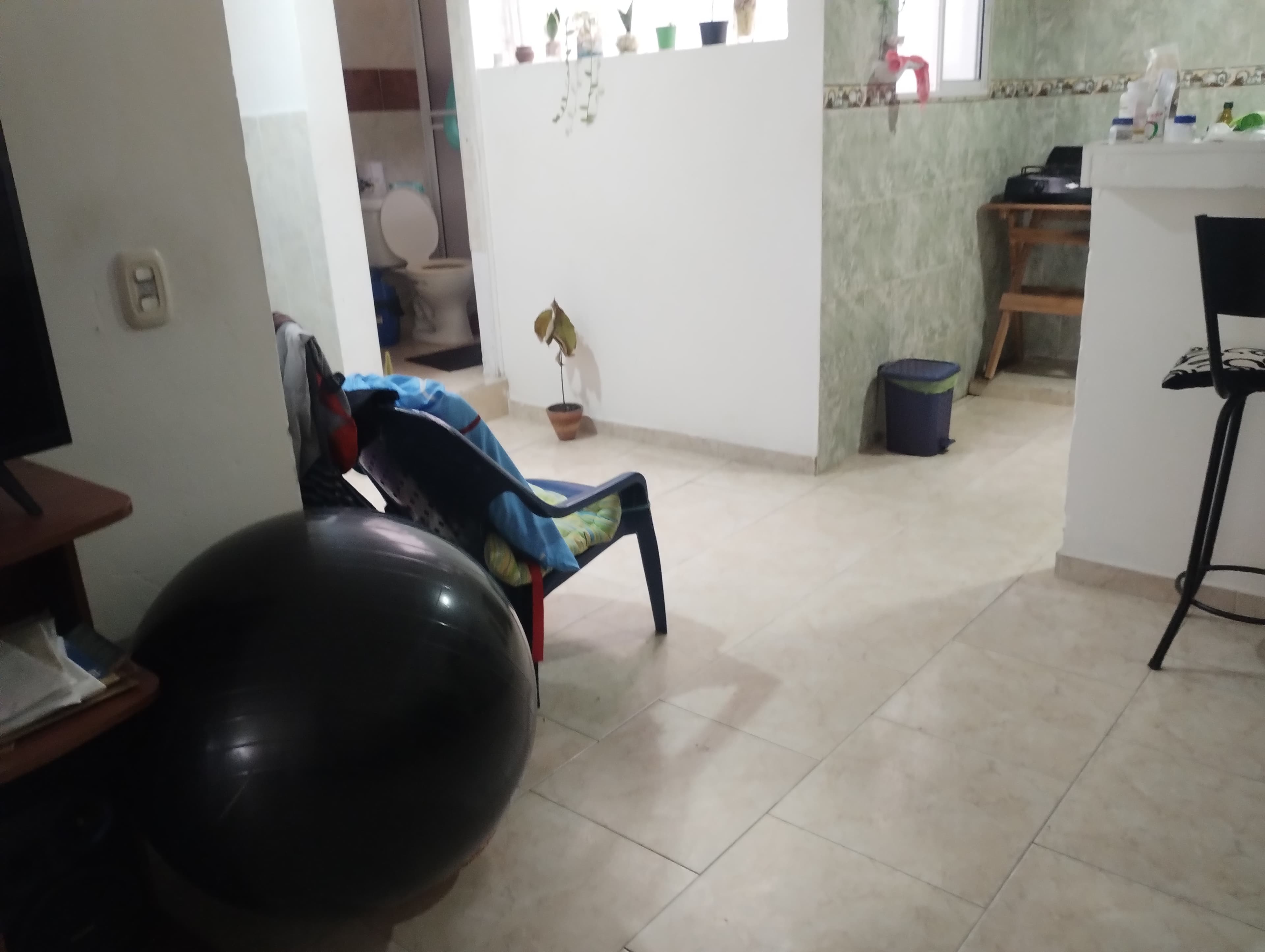 Foto 4 de Amor Perruno 