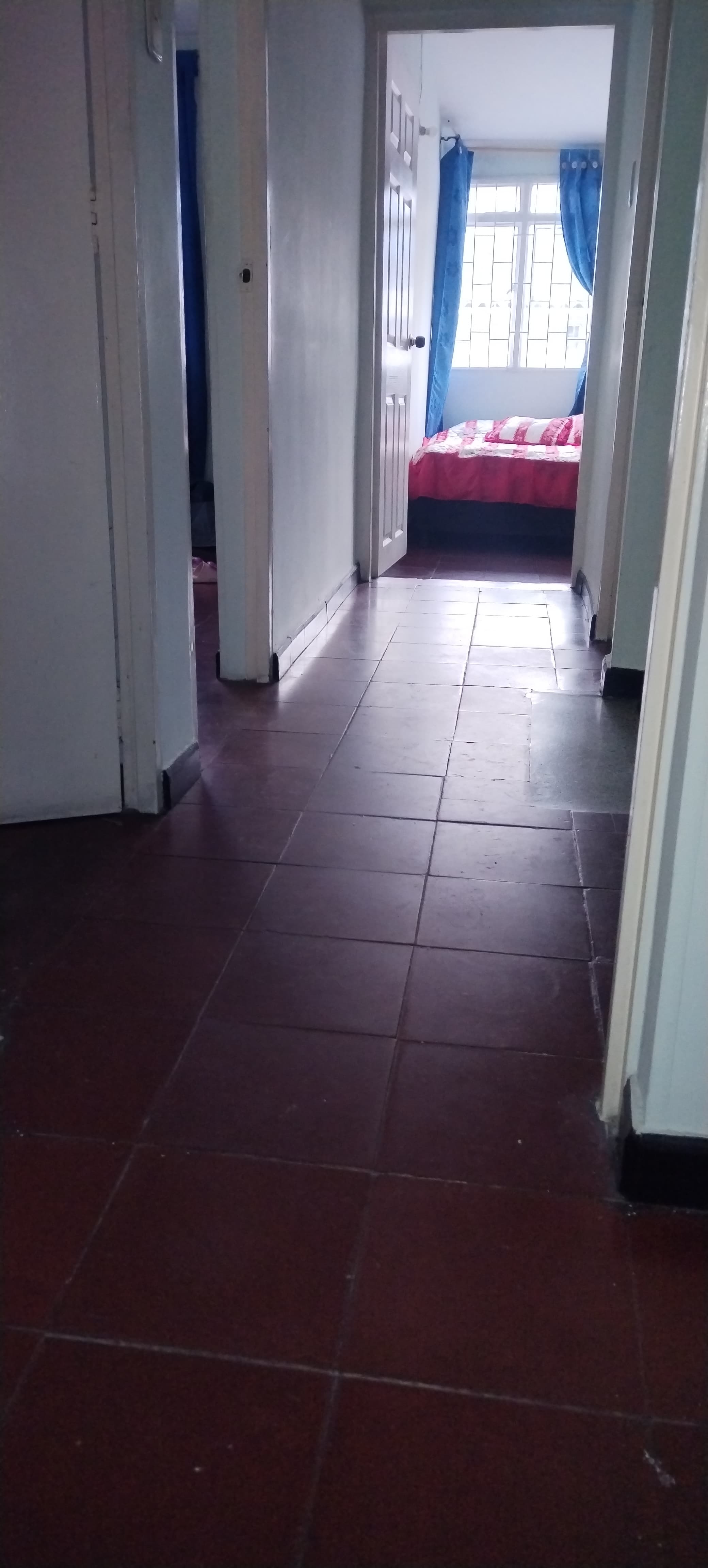 Foto 2 de La casita de Lala