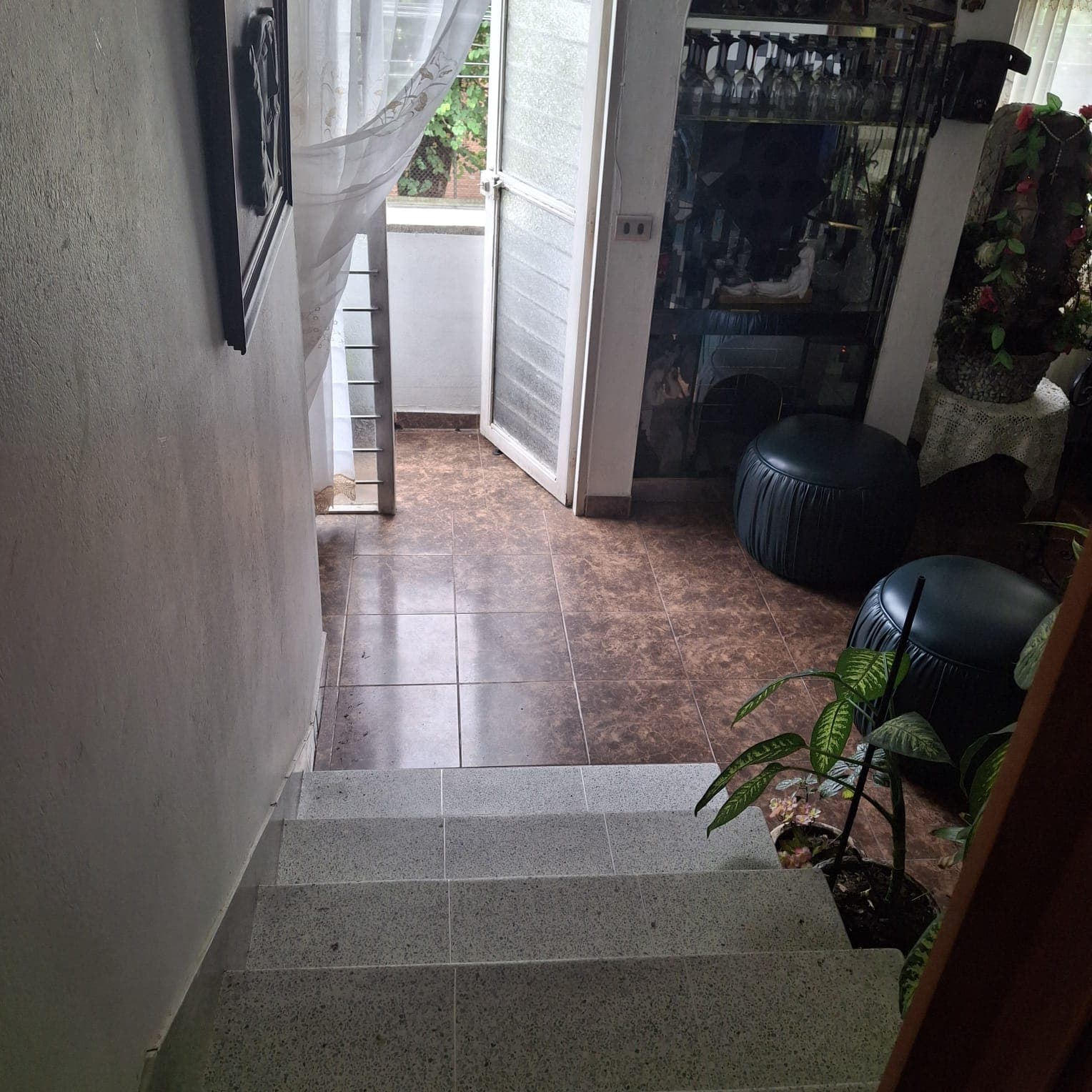 Foto 4 de Ale perruna