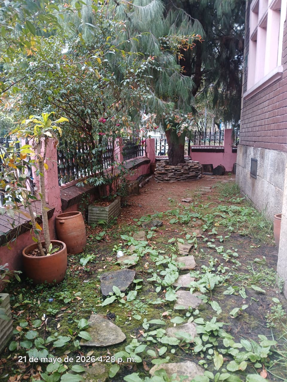 Foto 4 de Casa Amados
