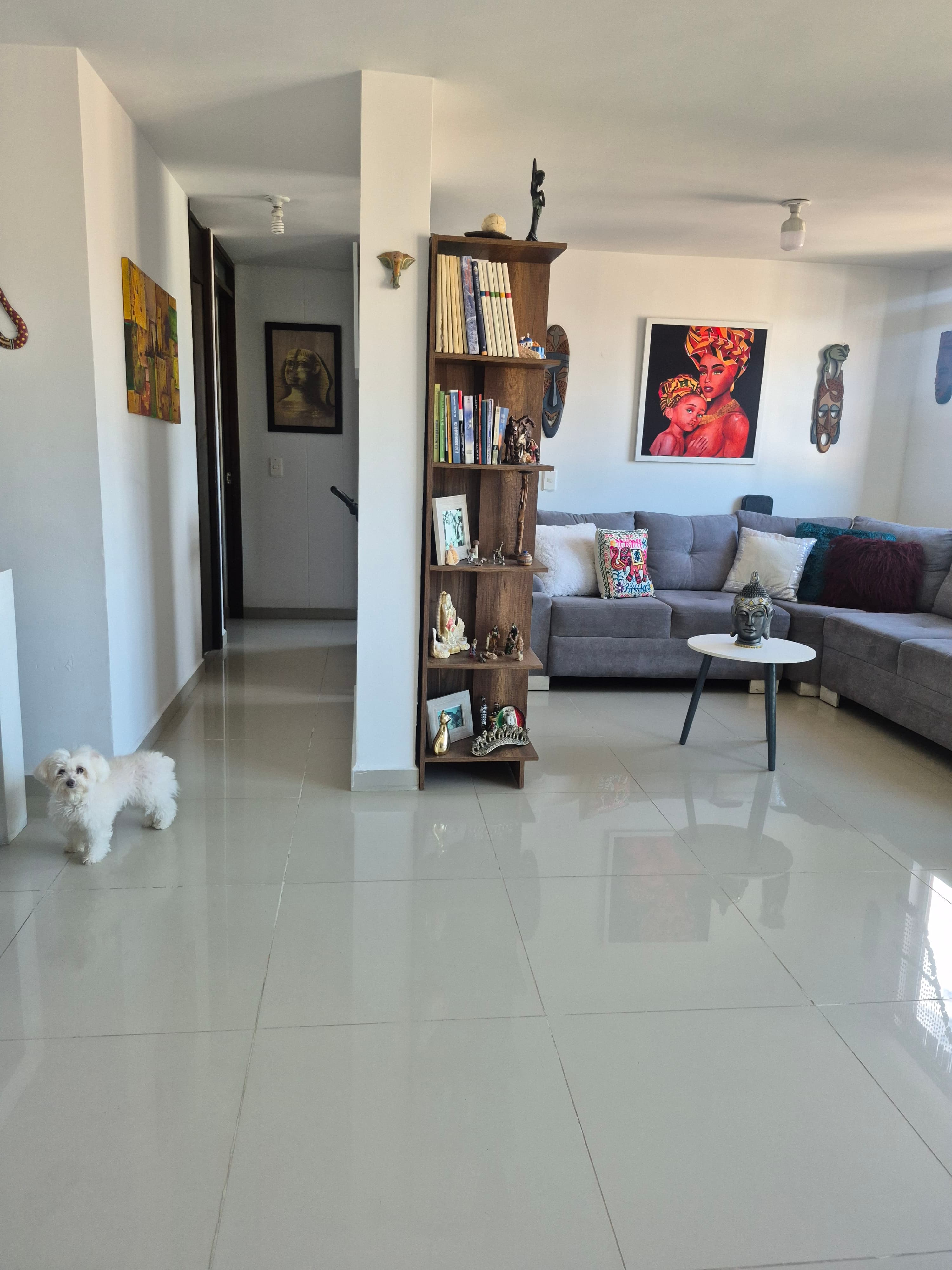 Foto 4 de Happy paws 