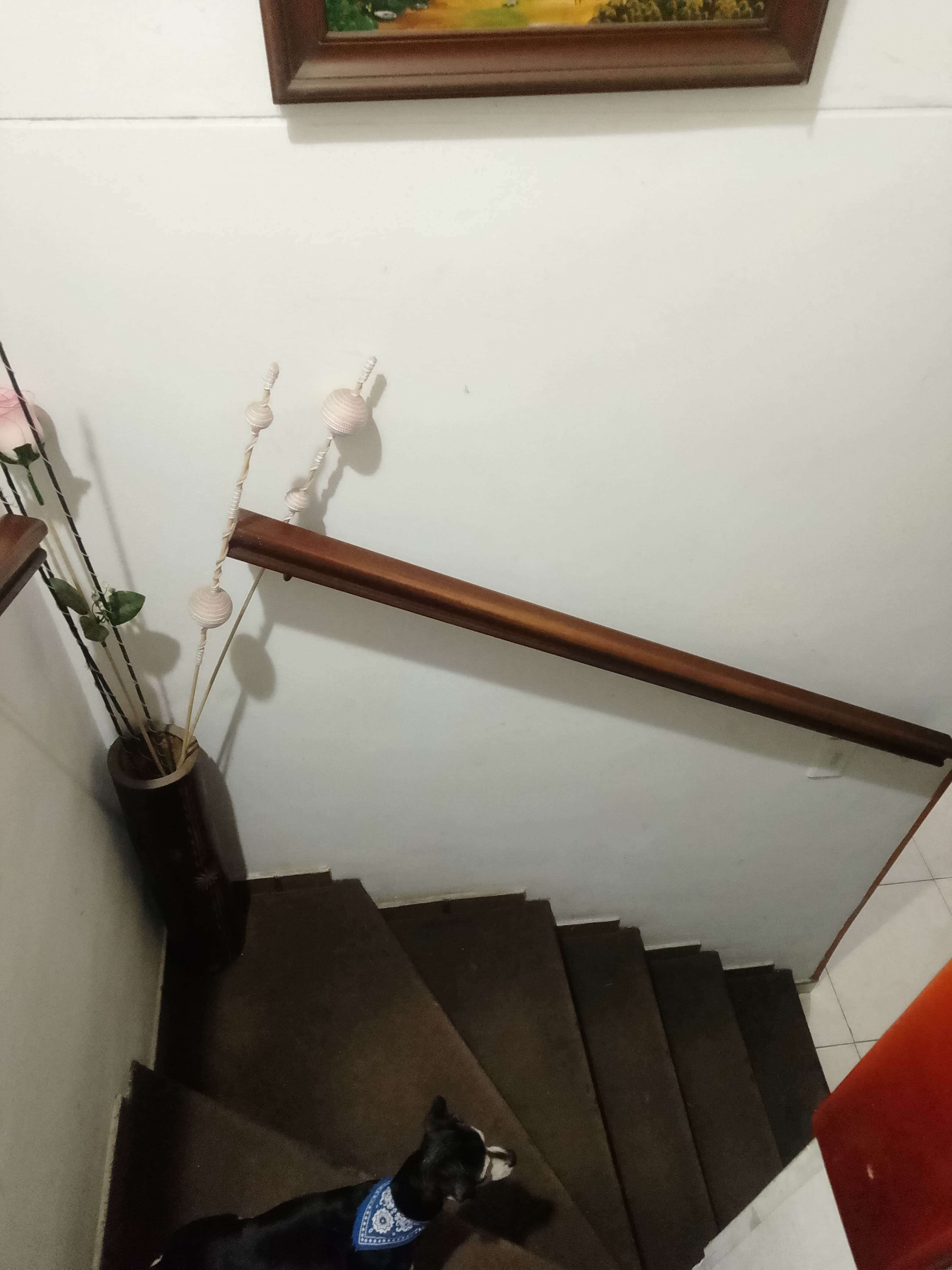 Foto 5 de Casa Huellitas de Amor