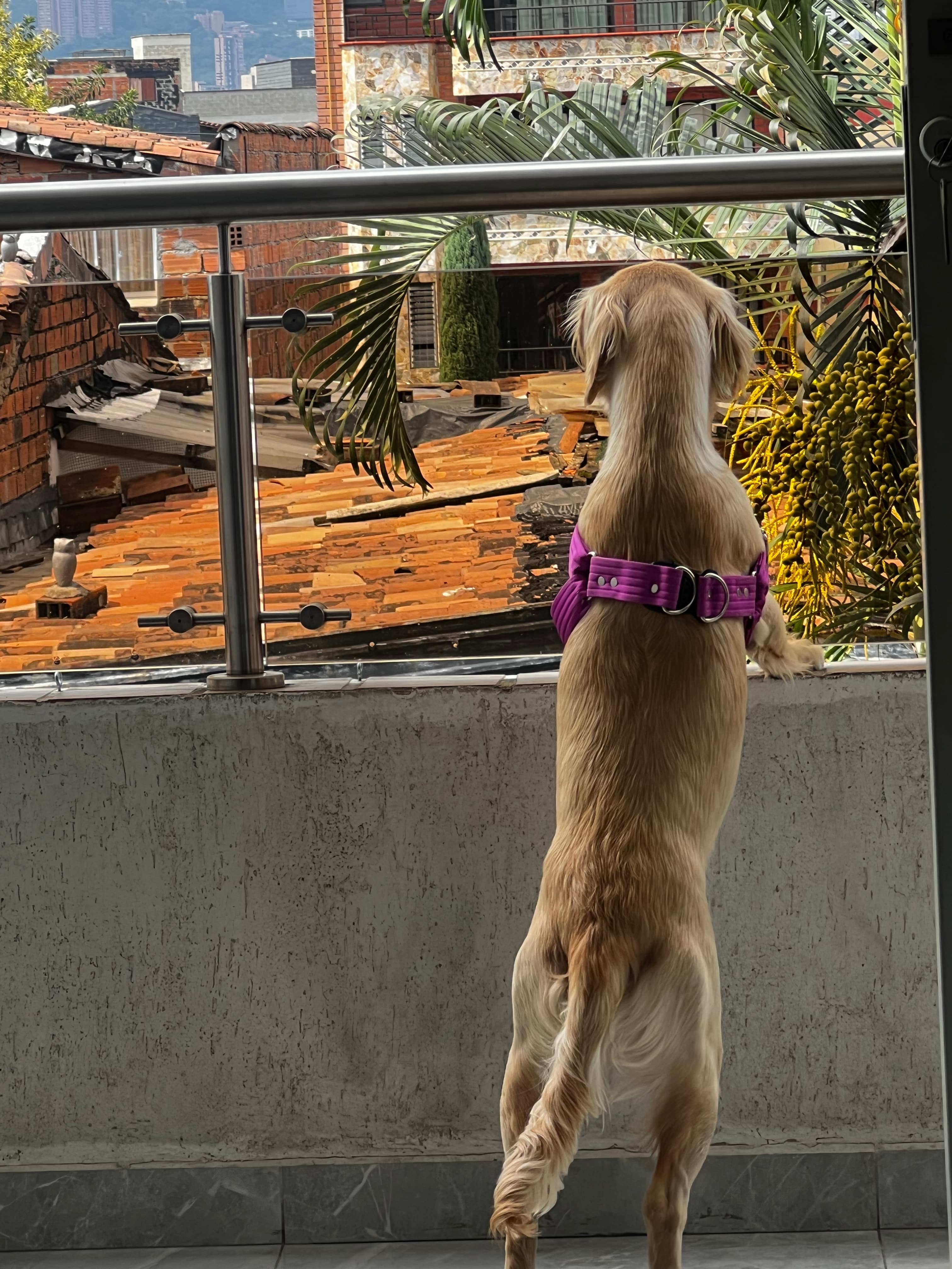 Foto 3 de Refugio Paola