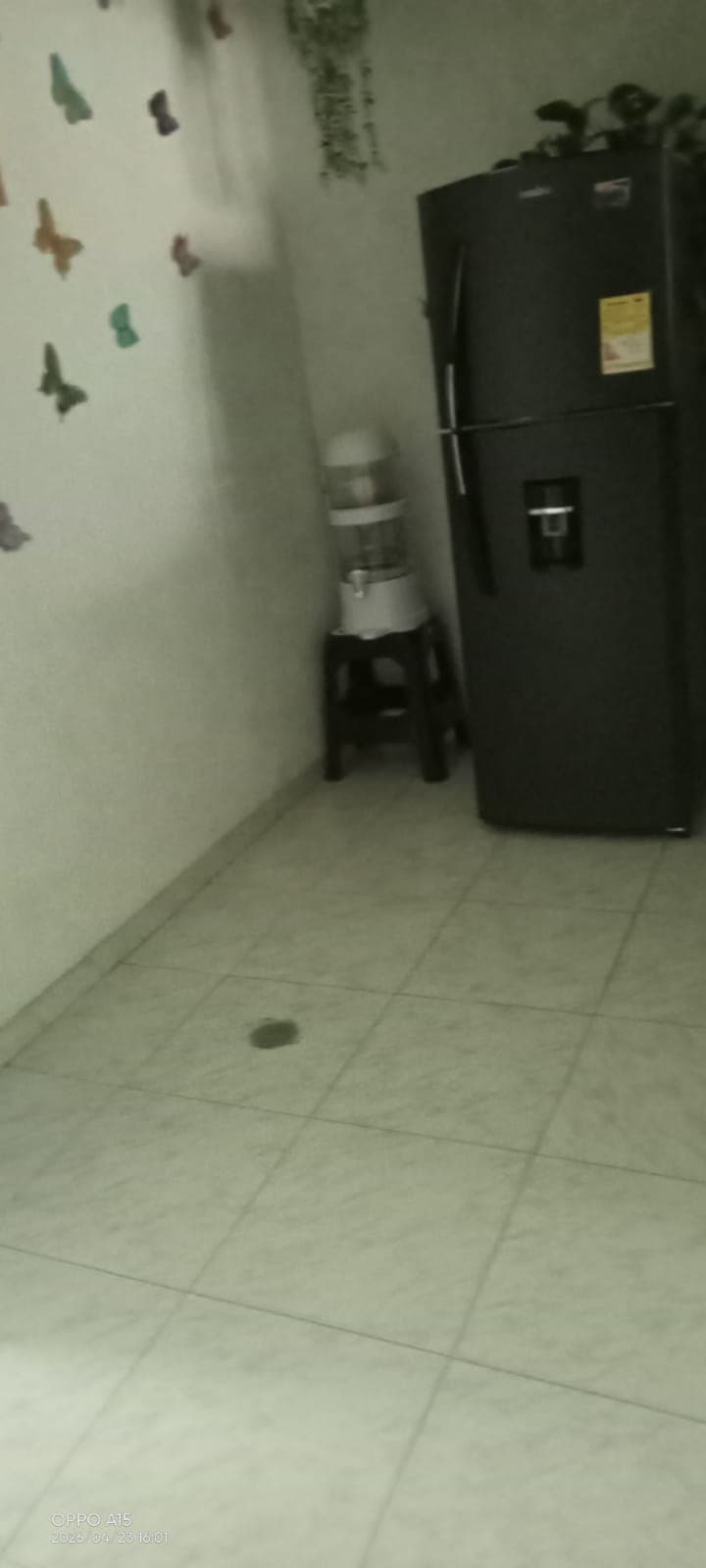 Foto 3 de Casa De Colitas Felices
