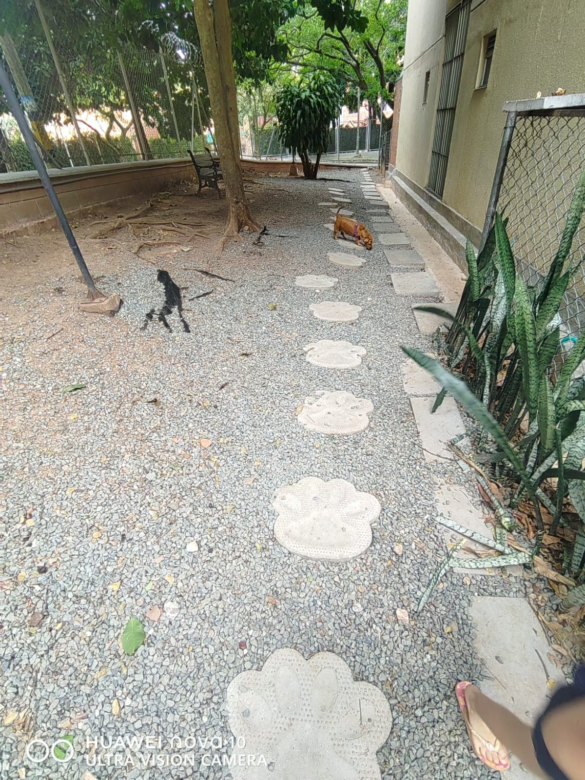 Foto 9 de HOGAR PATAS FELICES