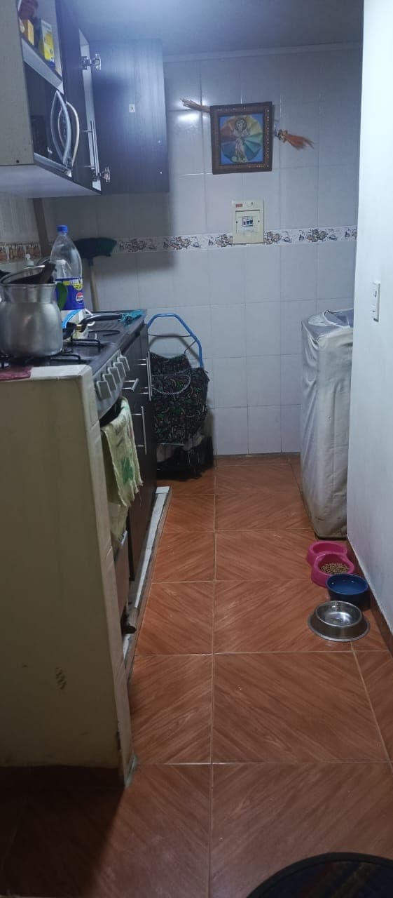Foto 8 de La casa de los peluditos 