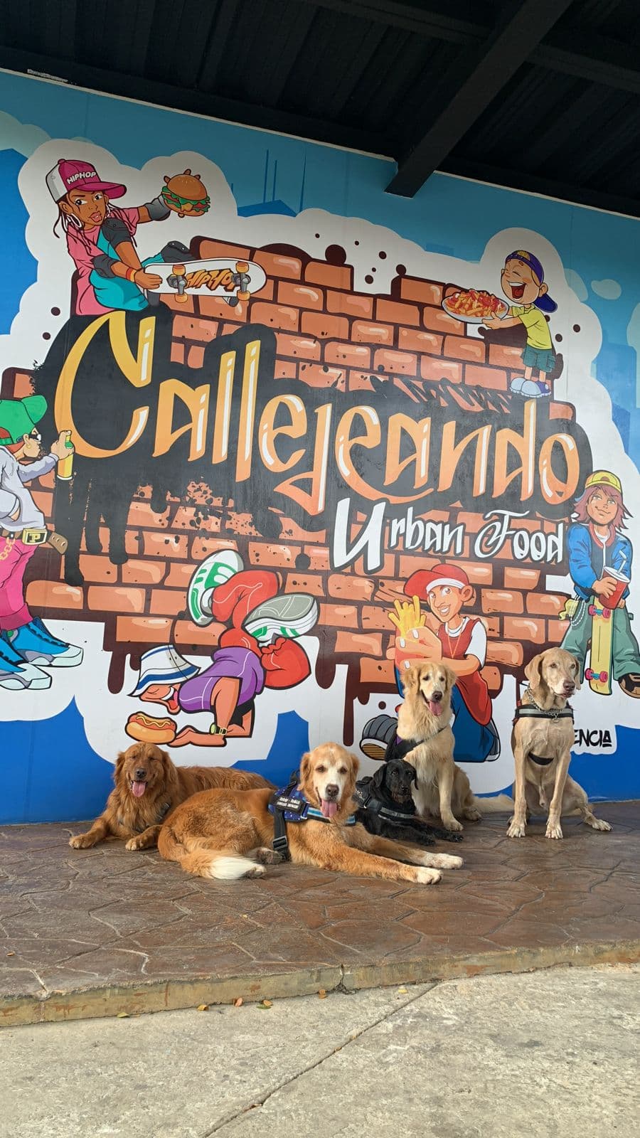 Foto 4 de ToyLa Casa Vacacional Canina