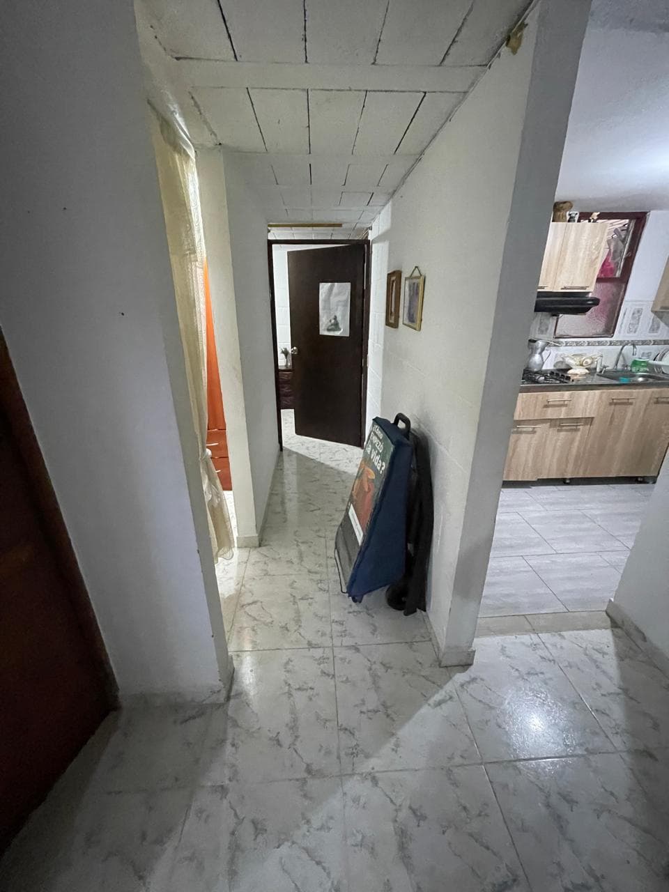 Foto 2 de Una casita para tus peluditos