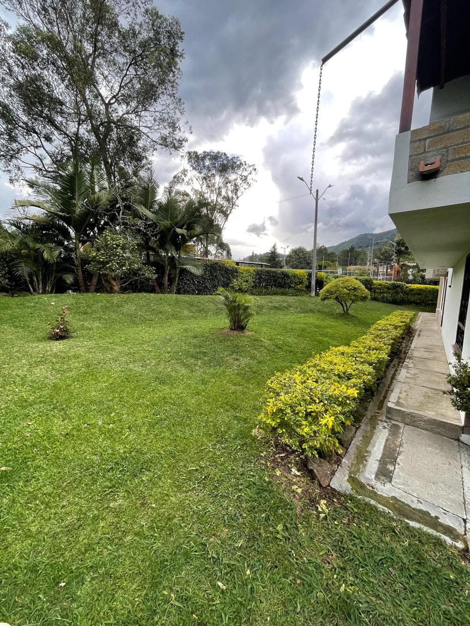 Foto 4 de Una casita para tus peluditos