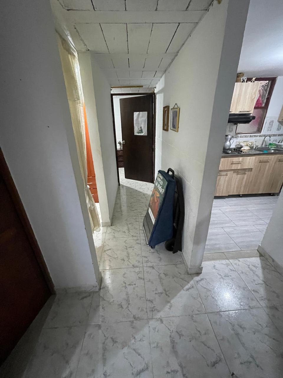Foto 6 de Una casita para tus peluditos
