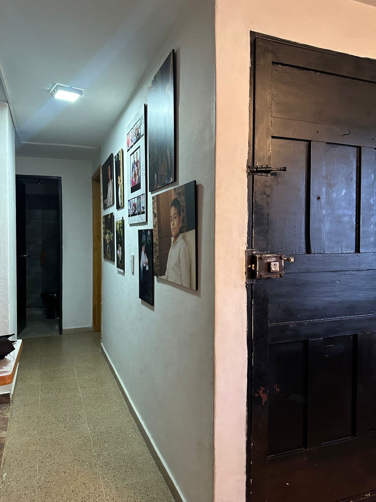 Foto 6 de Casita de peludos