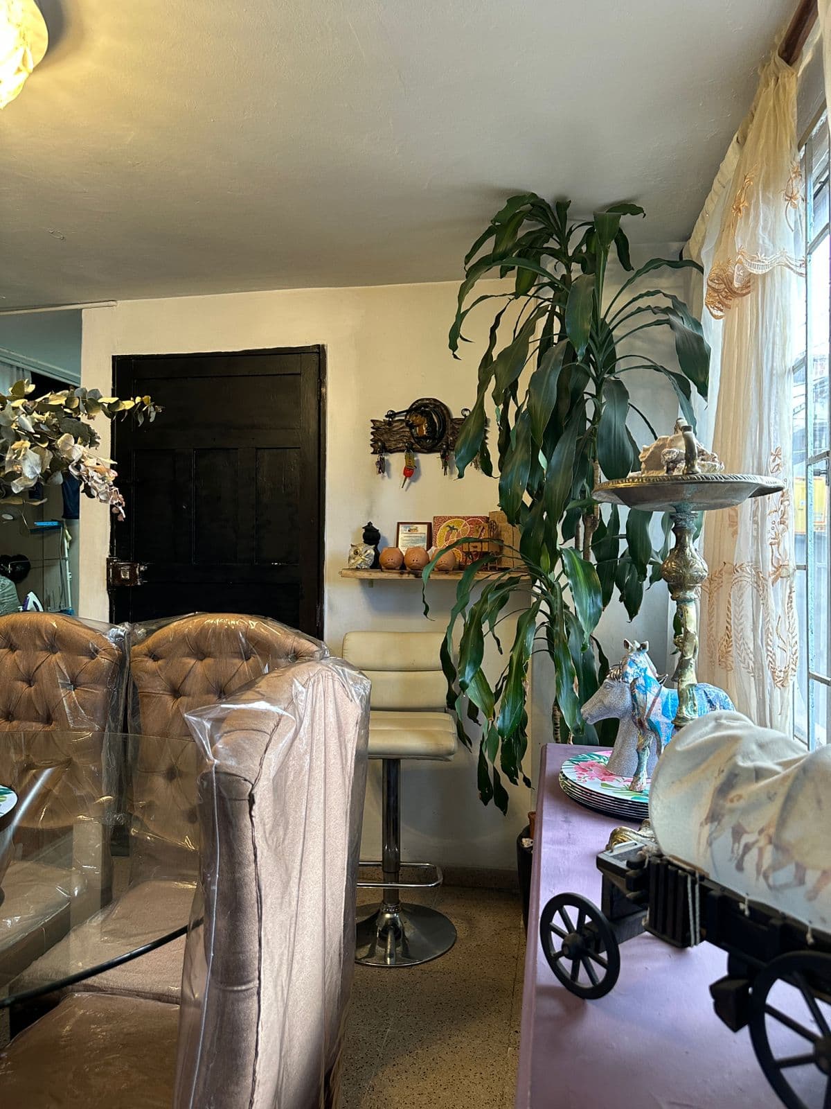 Foto 7 de Casita de peludos